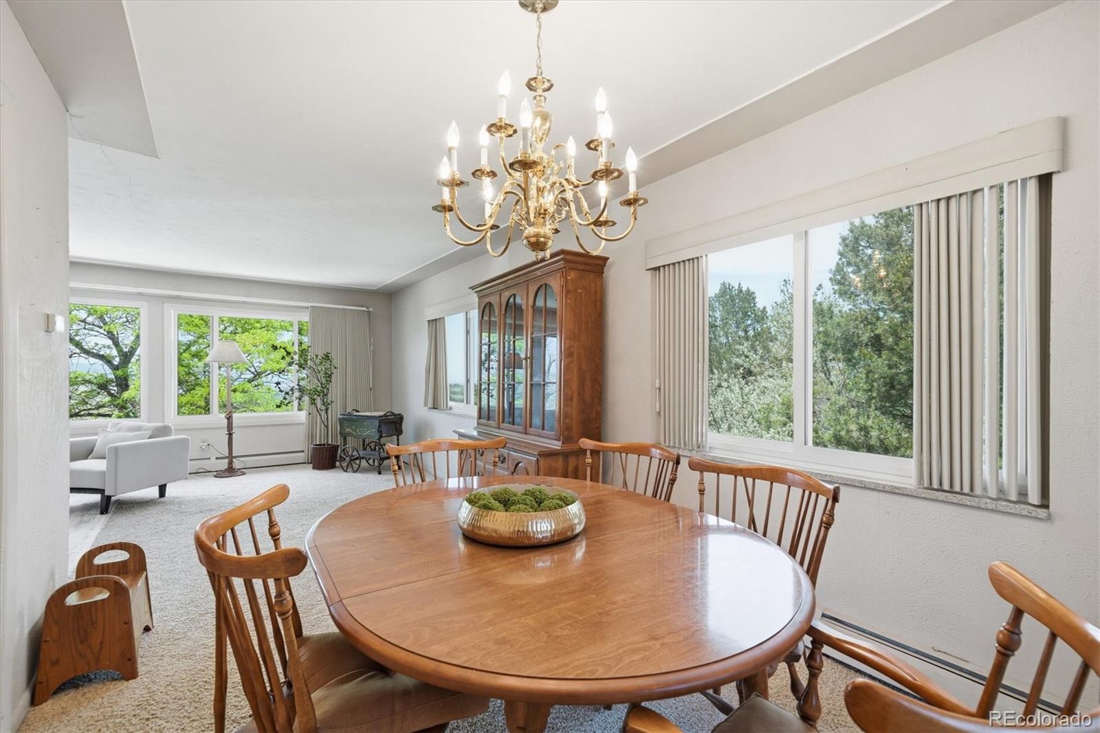 MLS Image #7 for 698  peak view drive,castle rock, Colorado