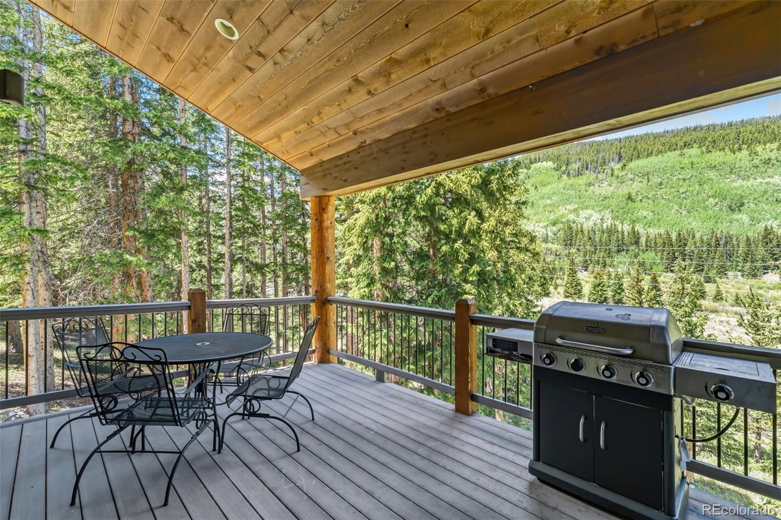 MLS Image #17 for 50  cooney court,blue river, Colorado