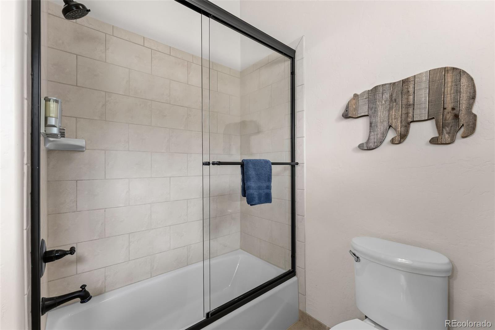 MLS Image #29 for 50  cooney court,blue river, Colorado