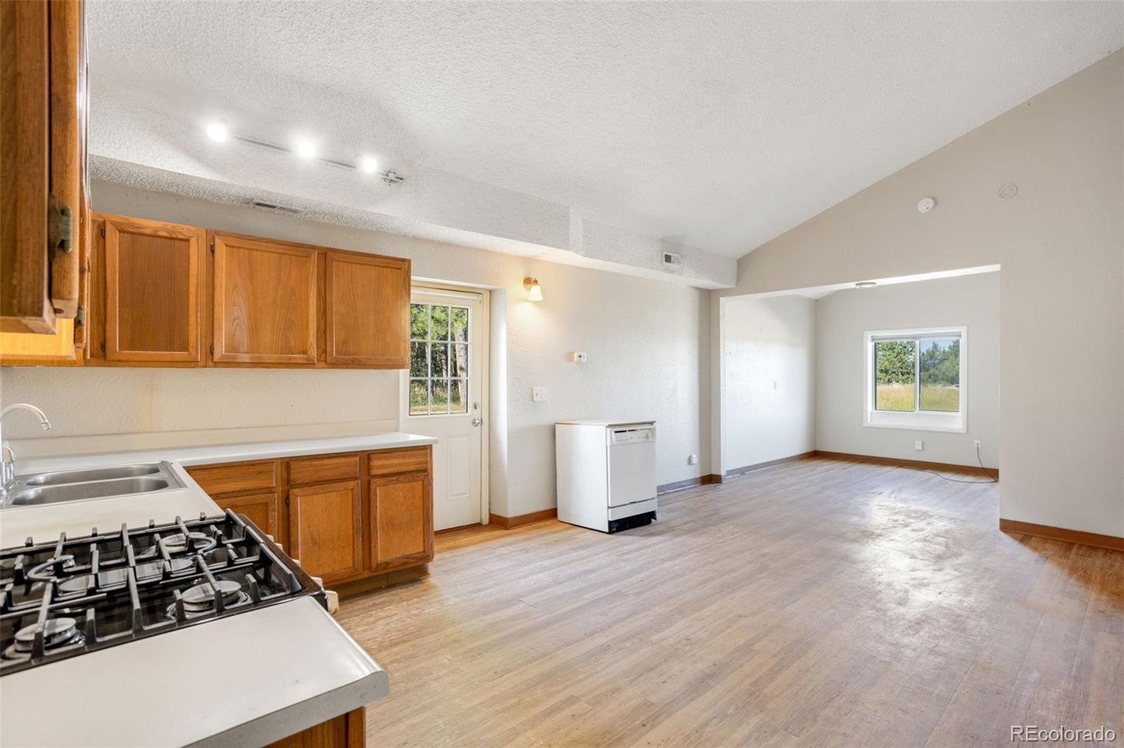 MLS Image #21 for 16685  roller coaster road,colorado springs, Colorado