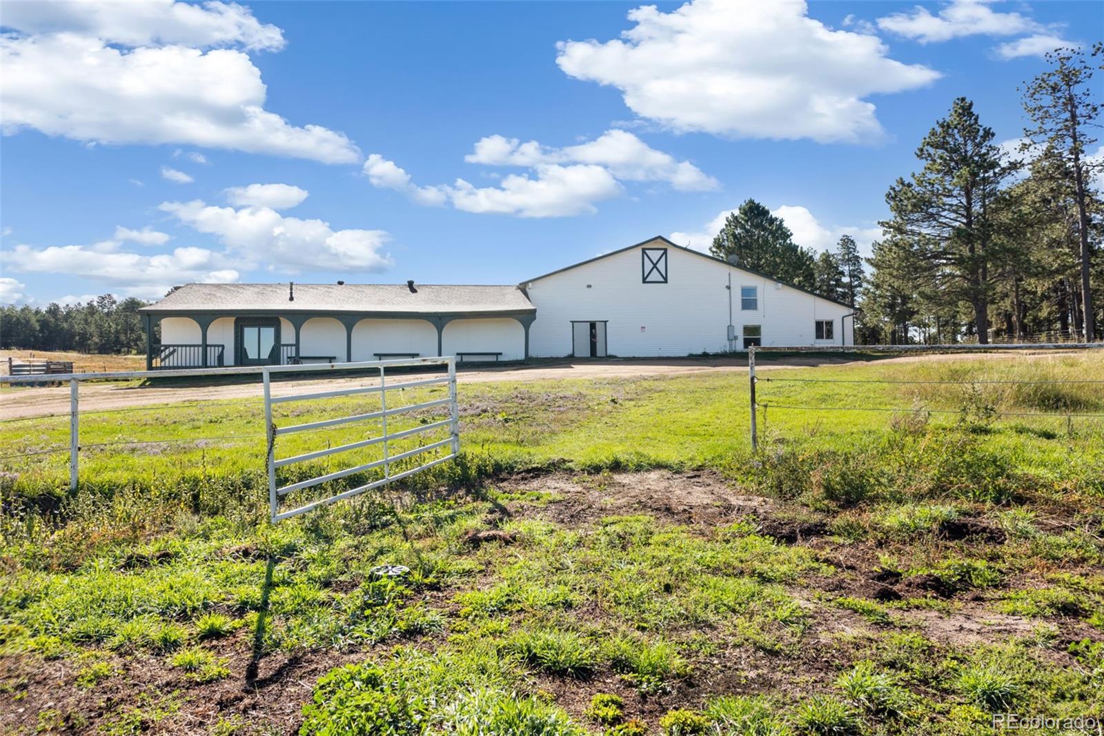 MLS Image #4 for 16685  roller coaster road,colorado springs, Colorado