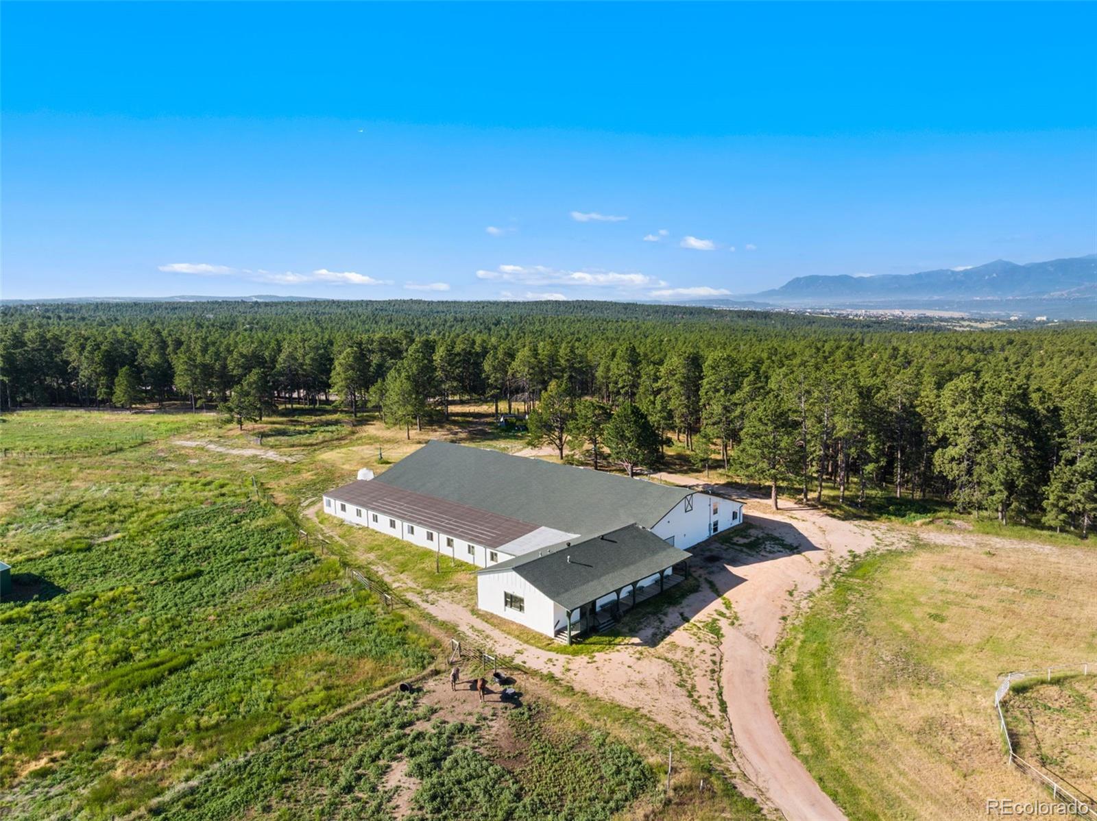 MLS Image #44 for 16685  roller coaster road,colorado springs, Colorado