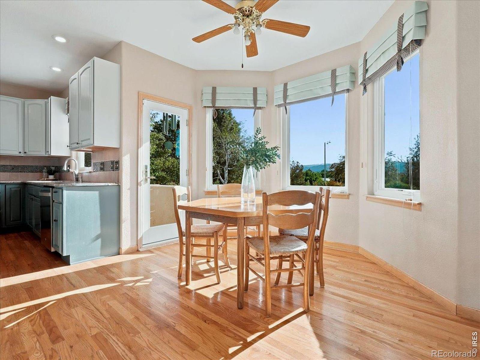 MLS Image #13 for 1669  brown court,longmont, Colorado
