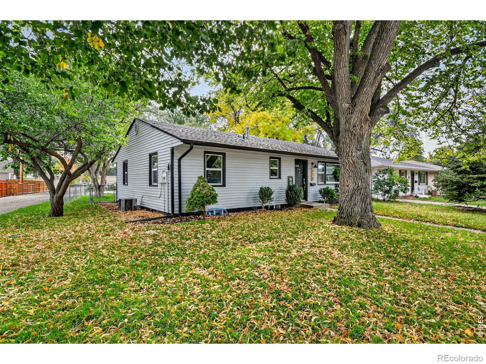 MLS Image #7 for 610  california avenue,loveland, Colorado