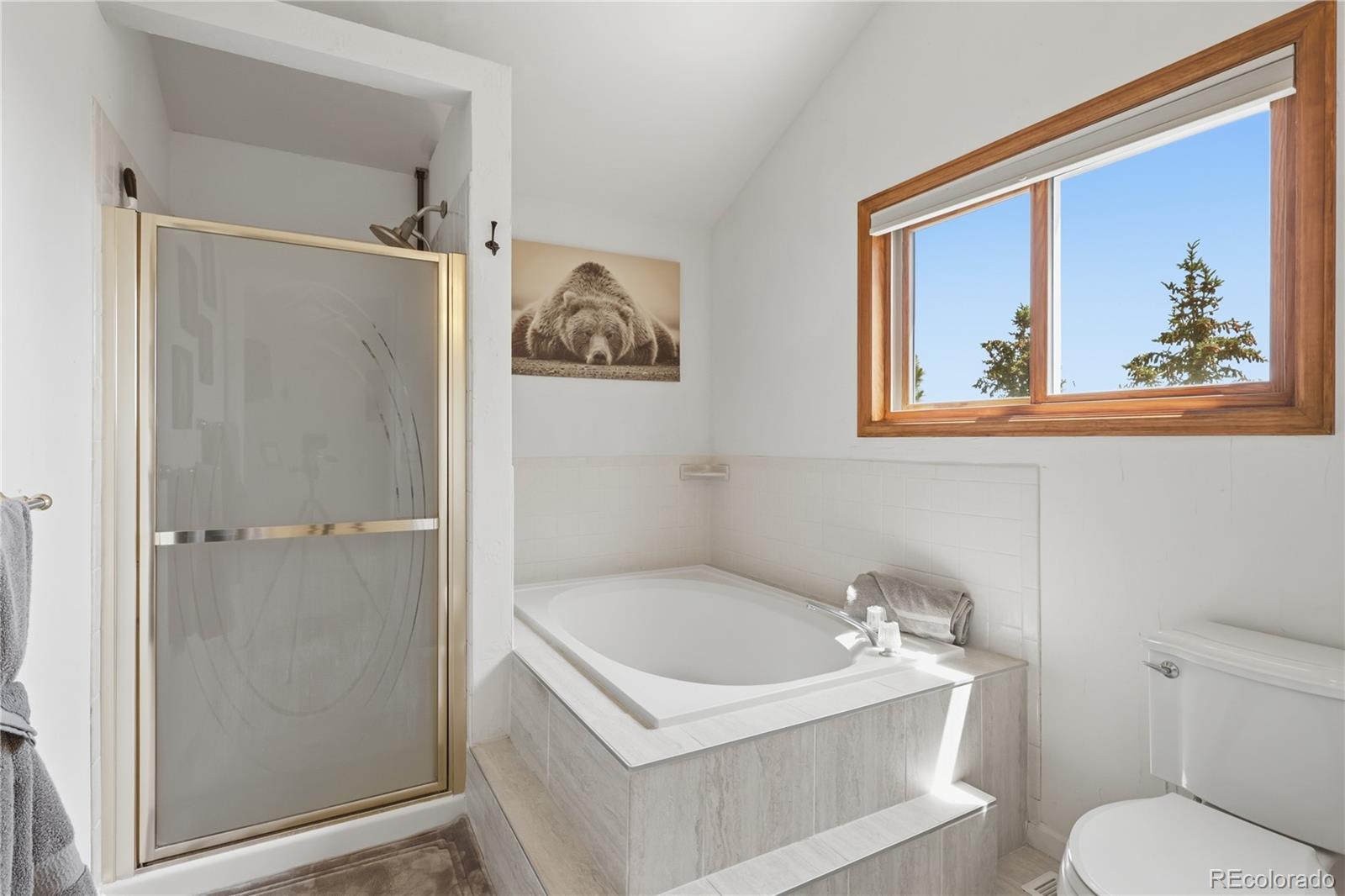 MLS Image #26 for 607  meadow station circle,parker, Colorado