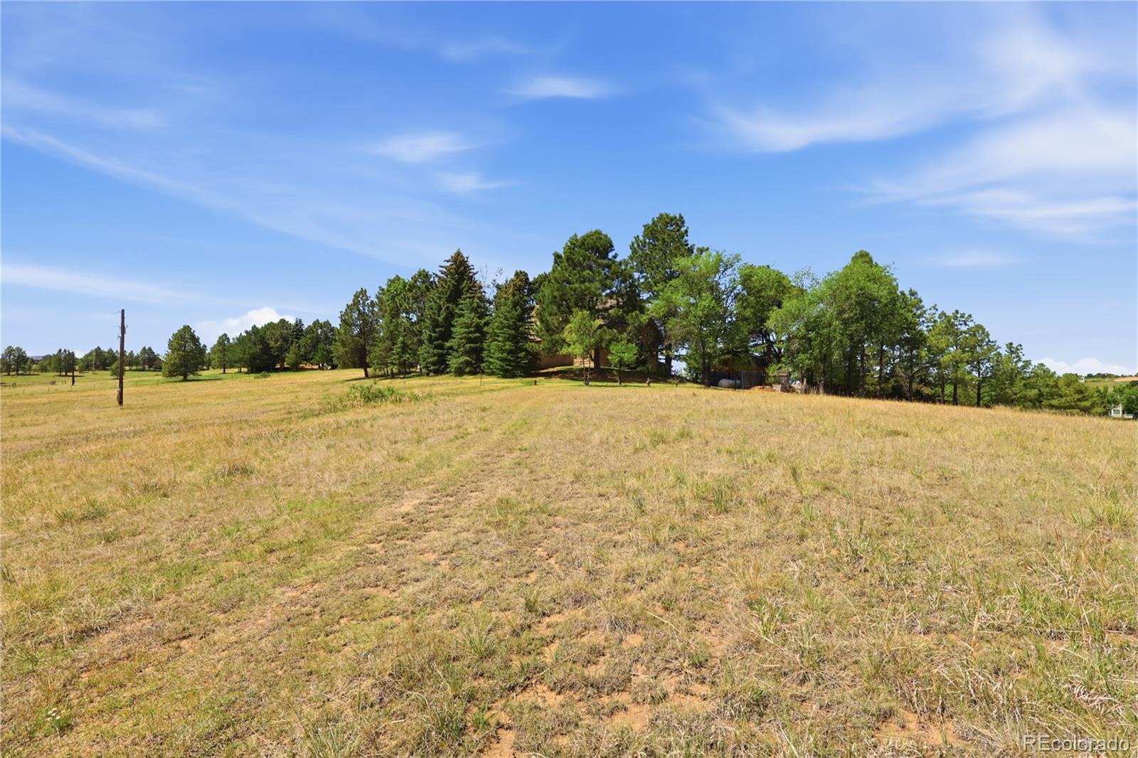 MLS Image #41 for 607  meadow station circle,parker, Colorado