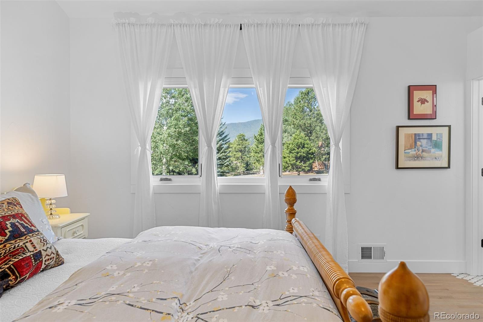 MLS Image #21 for 31452 n bermuda dunes drive,evergreen, Colorado