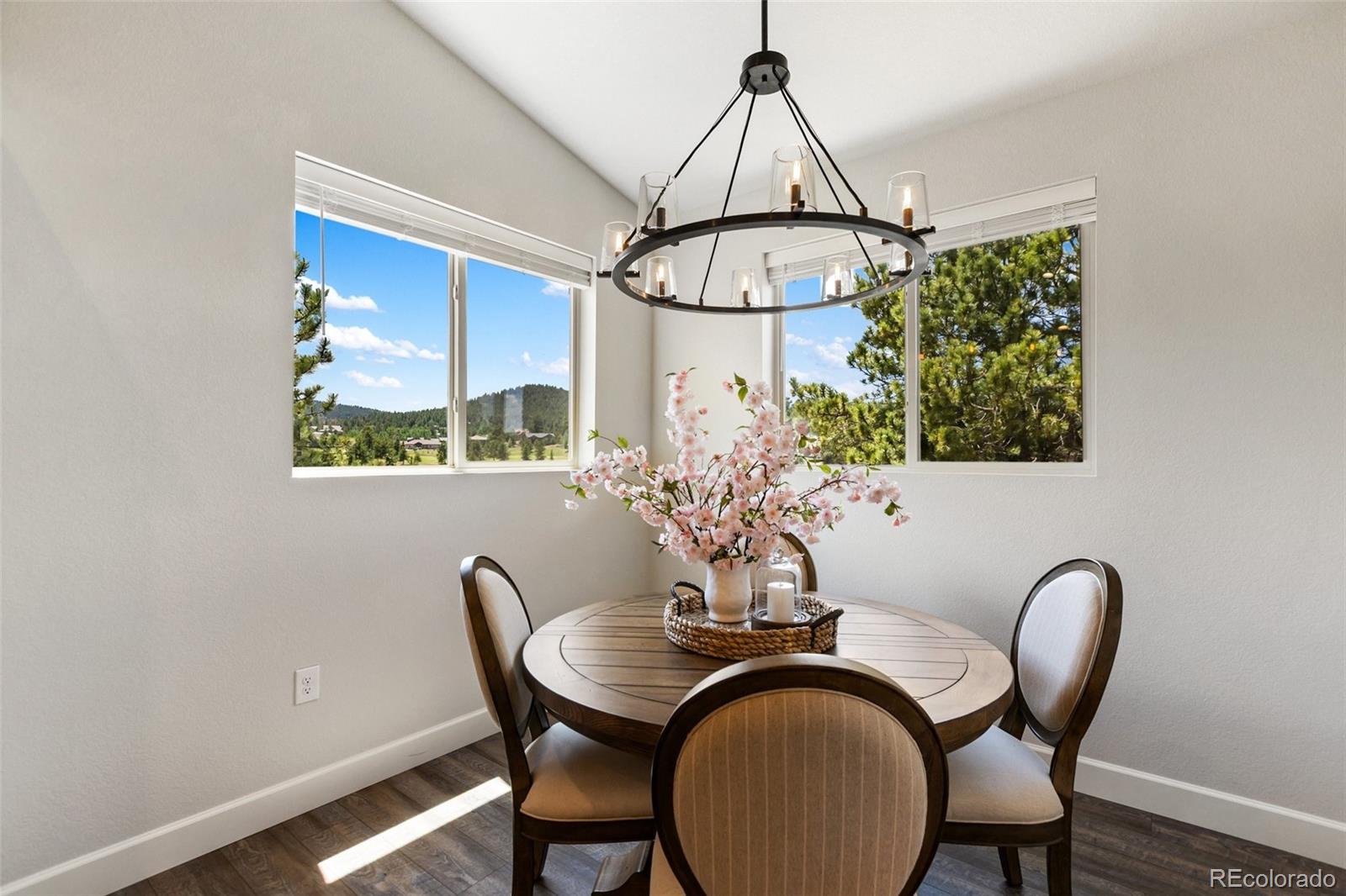 MLS Image #24 for 1350  longs point,woodland park, Colorado