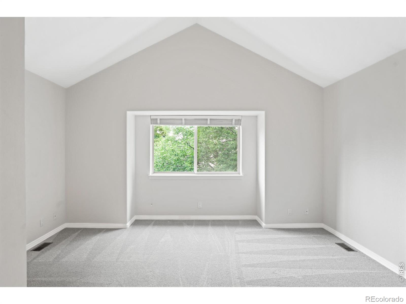 MLS Image #17 for 926  hover ridge circle,longmont, Colorado