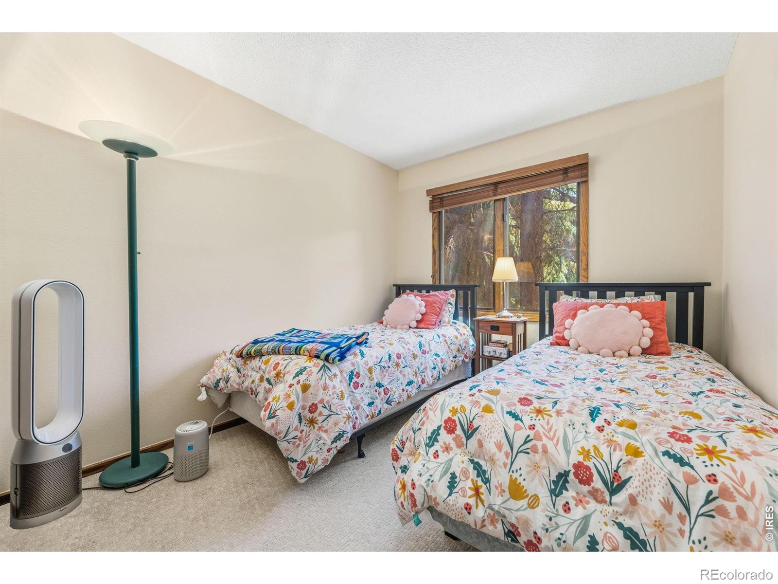 MLS Image #28 for 640  macgregor avenue,estes park, Colorado