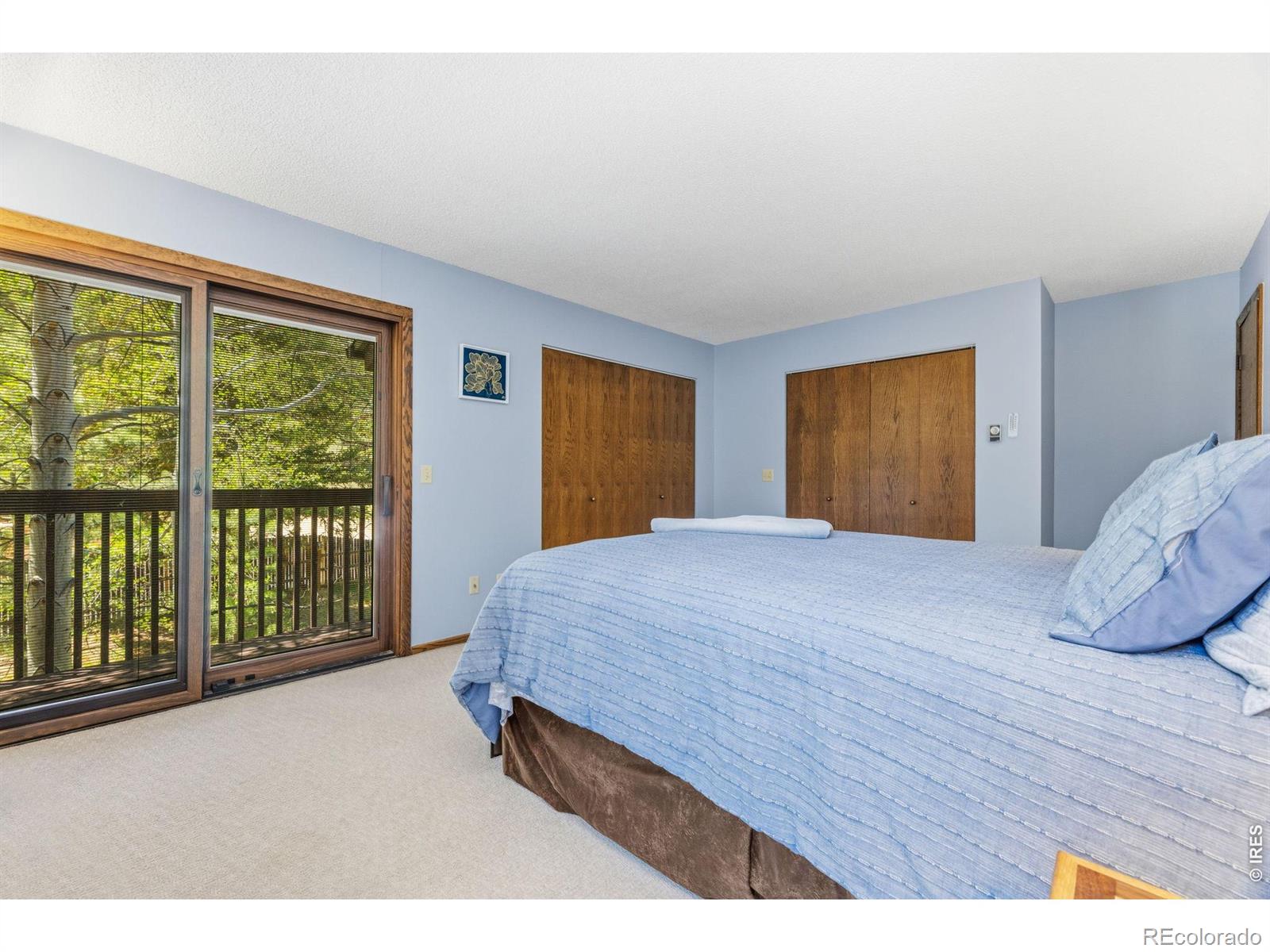 MLS Image #5 for 640  macgregor avenue,estes park, Colorado