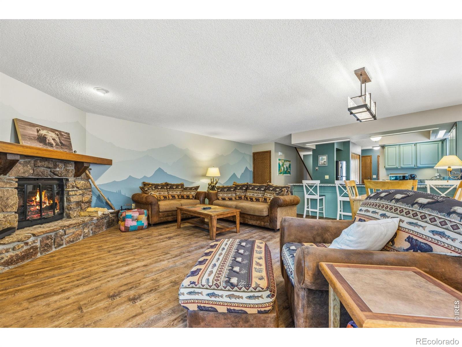 MLS Image #6 for 640  macgregor avenue,estes park, Colorado