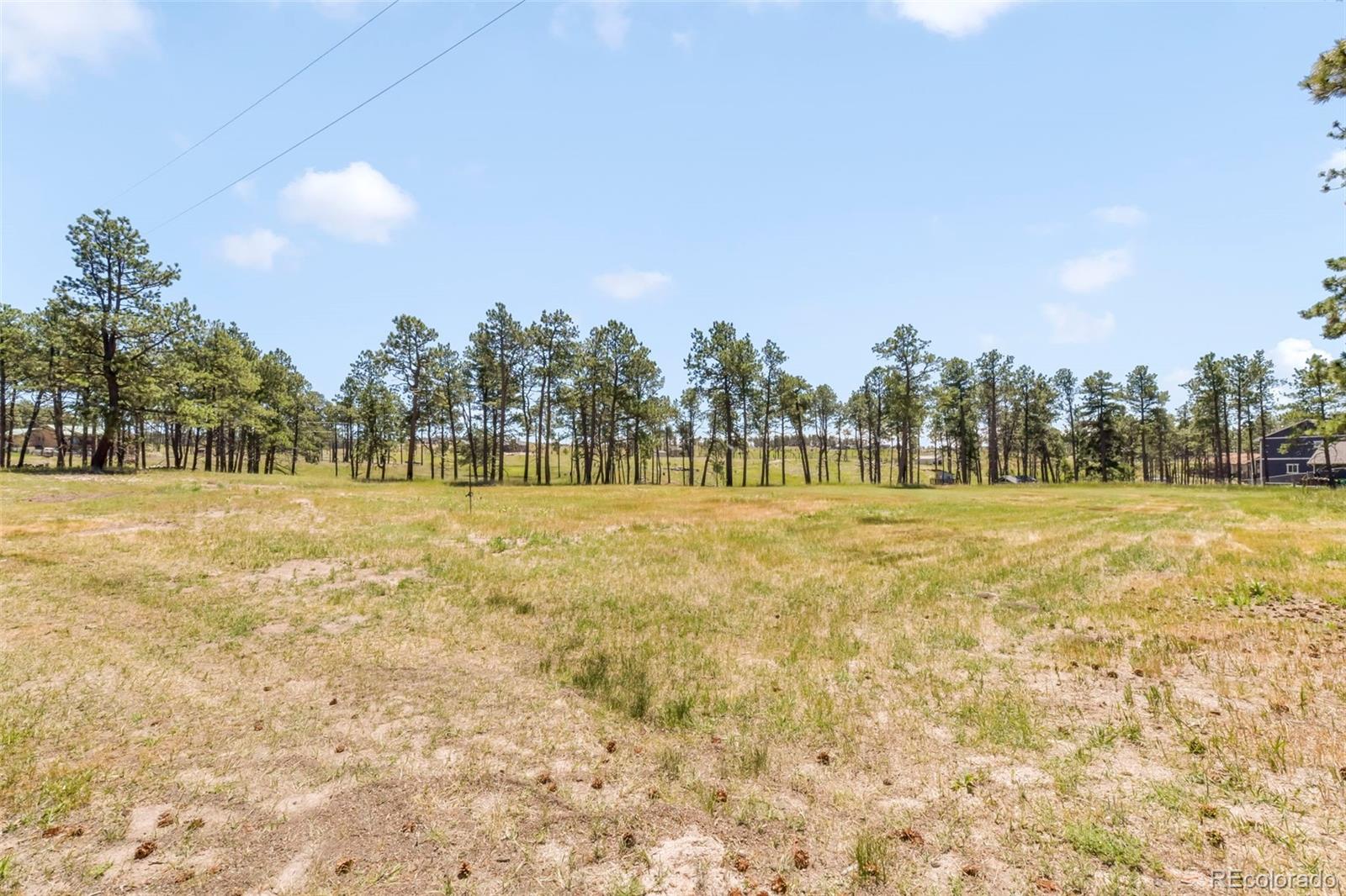 MLS Image #44 for 13355  pinery drive,colorado springs, Colorado