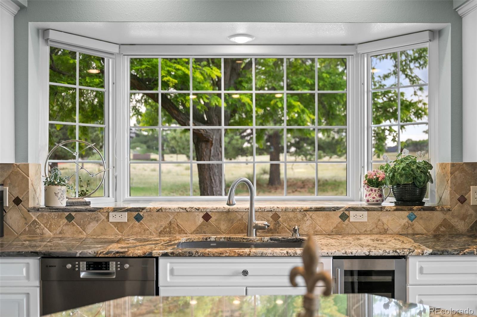 MLS Image #13 for 8634  selly road,parker, Colorado