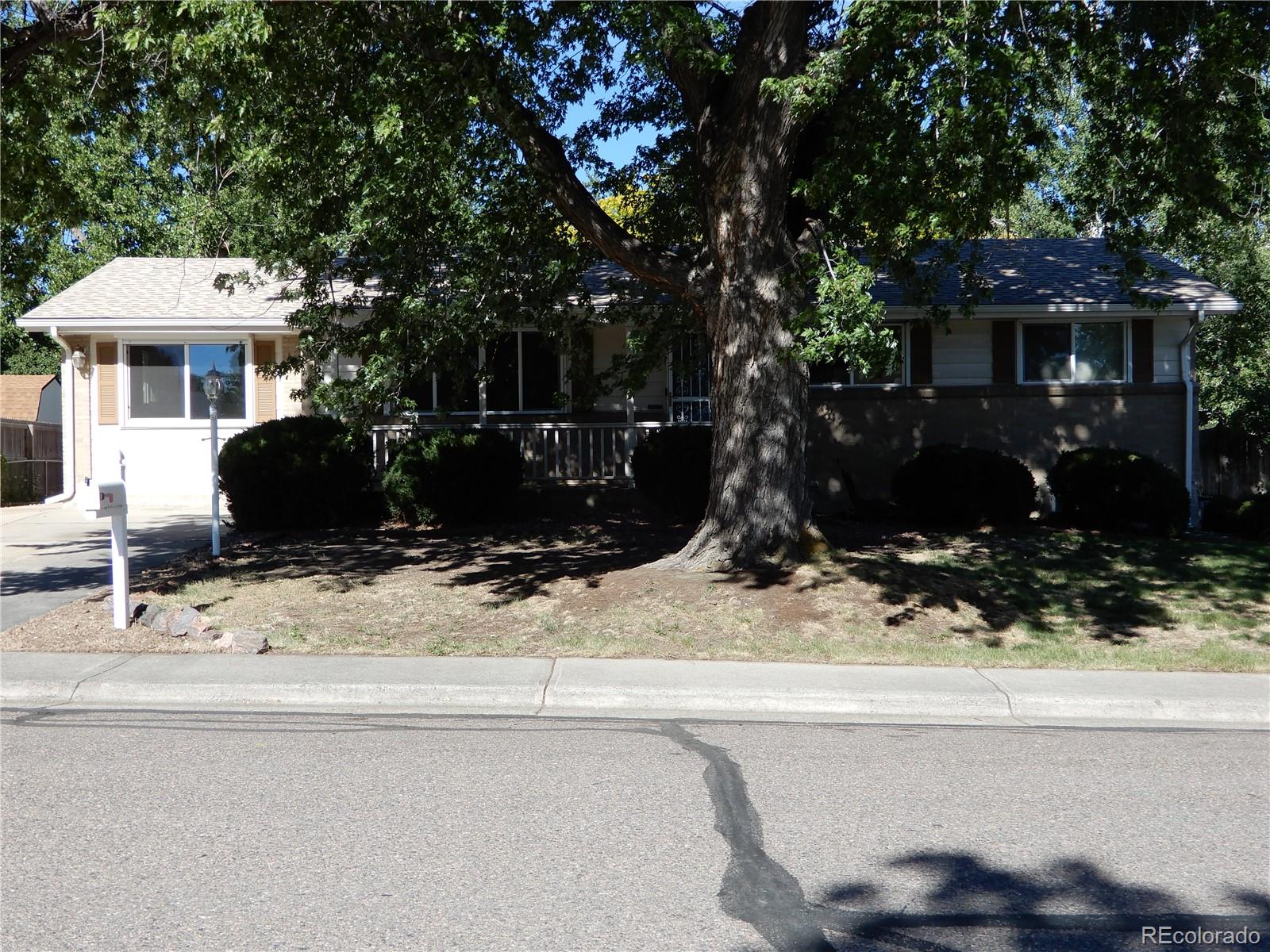 MLS Image #4 for 769  alkire street,golden, Colorado