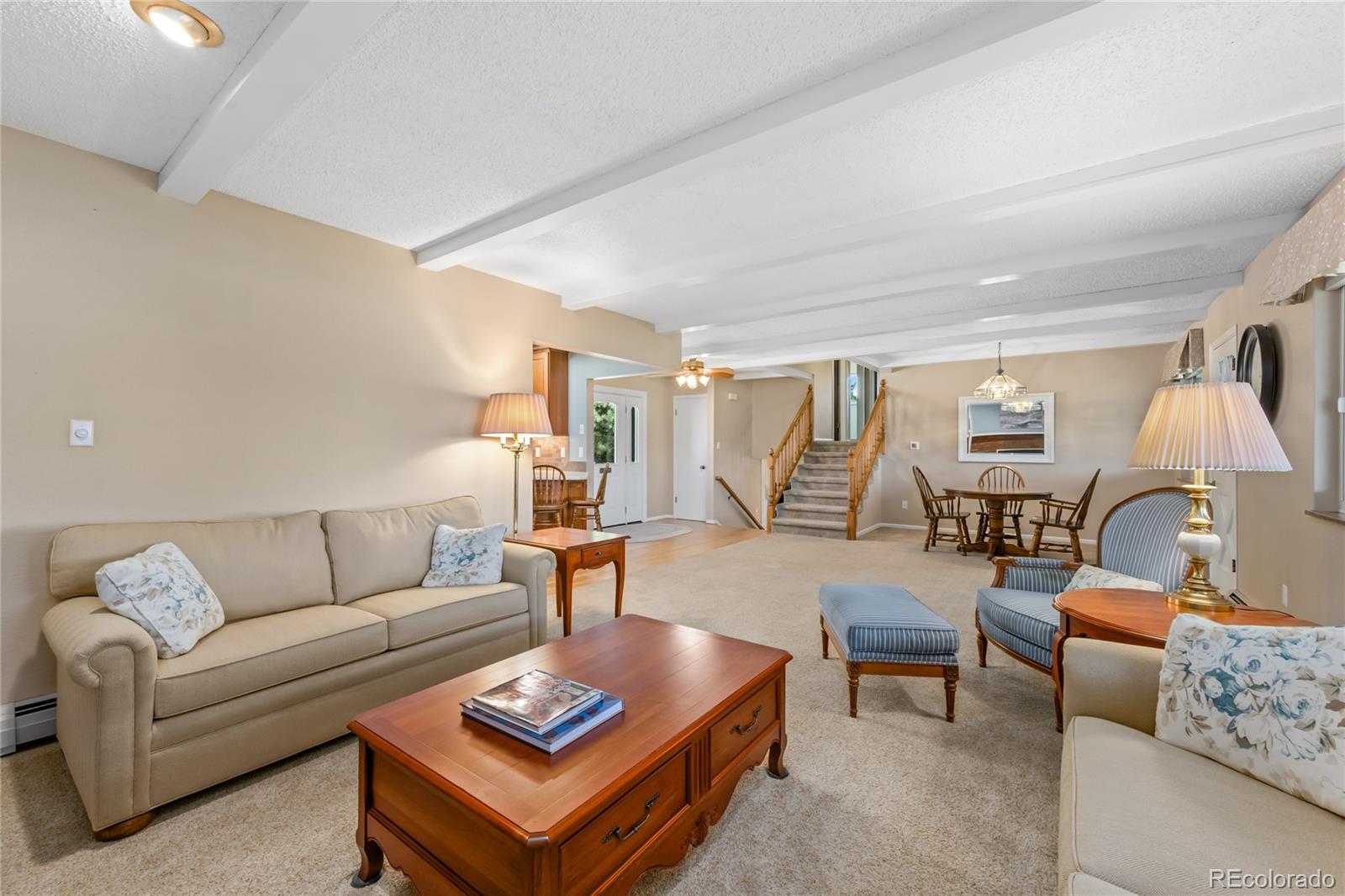 MLS Image #7 for 381 s 20th avenue,brighton, Colorado