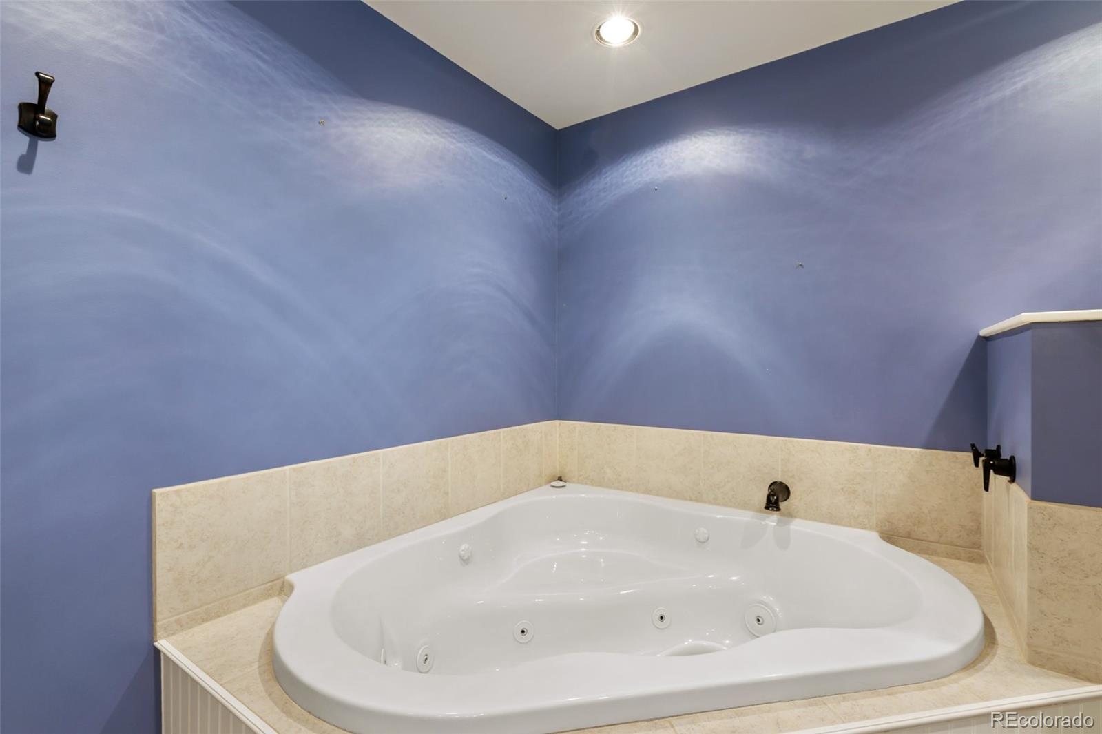 MLS Image #14 for 30  will stutley drive,divide, Colorado
