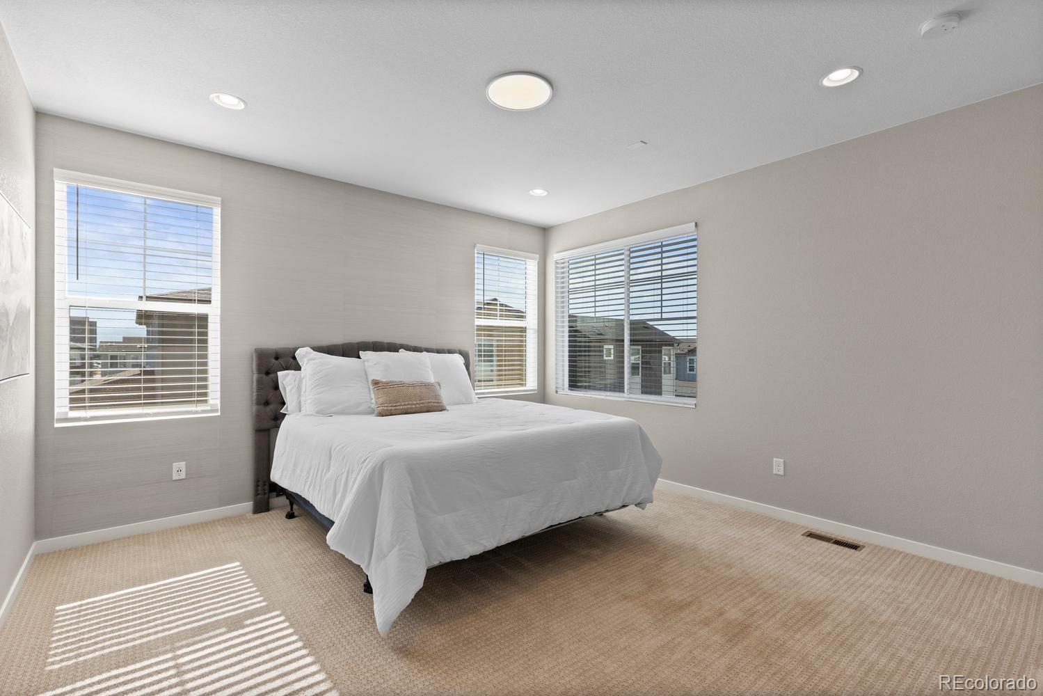 MLS Image #15 for 8978  delacorte street,highlands ranch, Colorado