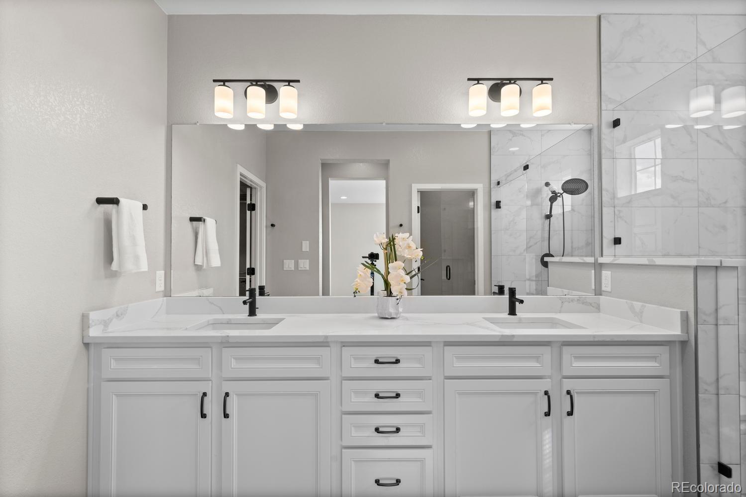MLS Image #17 for 8978  delacorte street,highlands ranch, Colorado