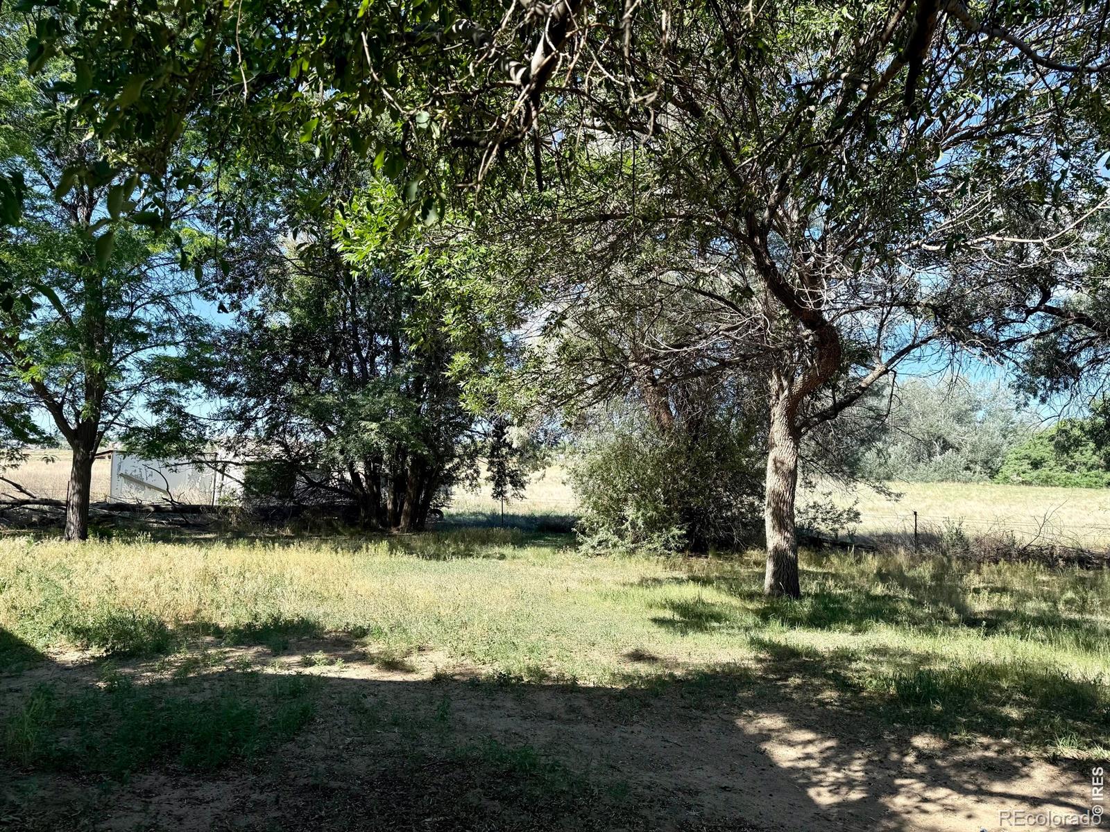 MLS Image #5 for 5818  county road 22 ,longmont, Colorado