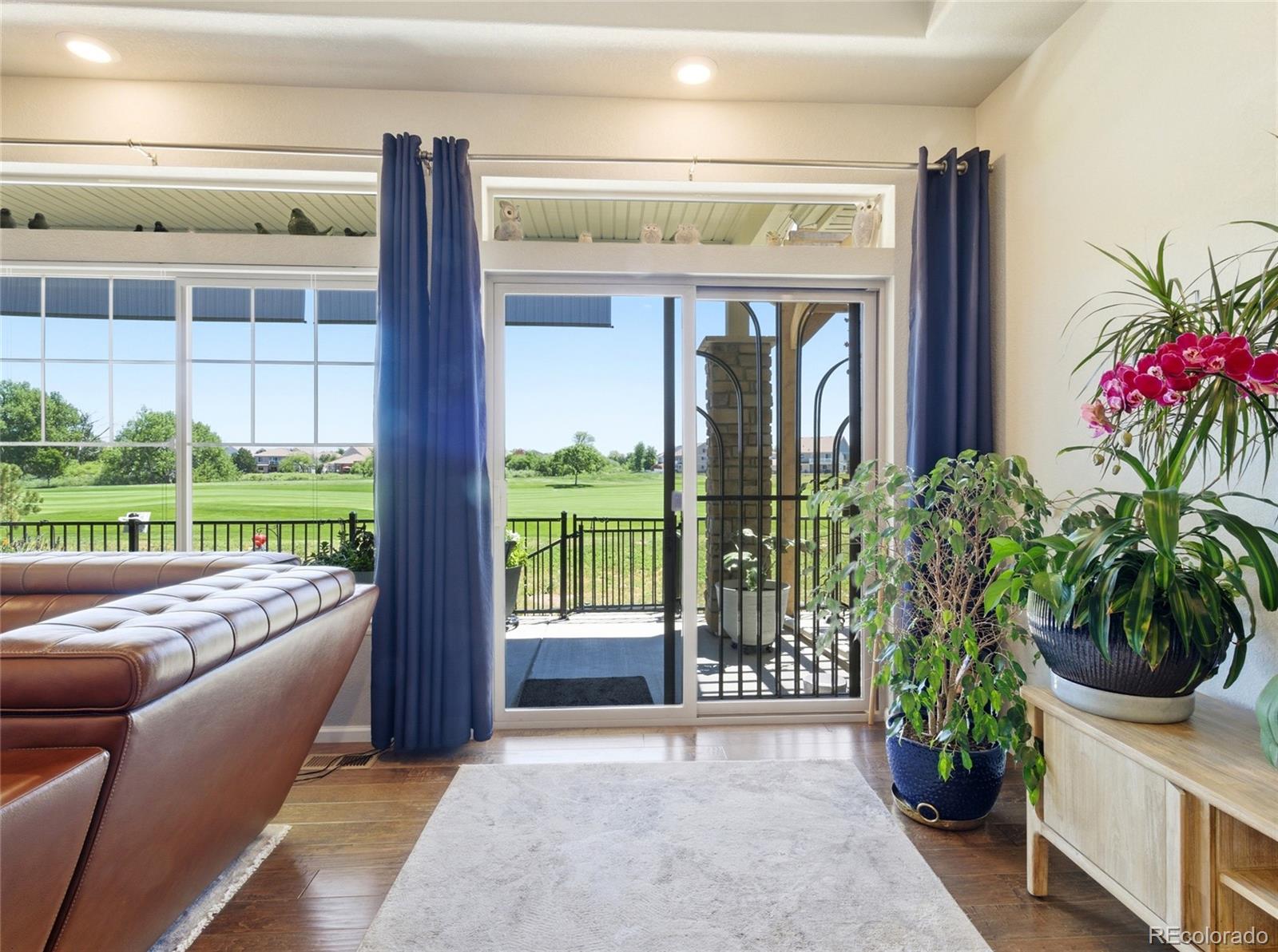 MLS Image #14 for 4976  malaya street,denver, Colorado