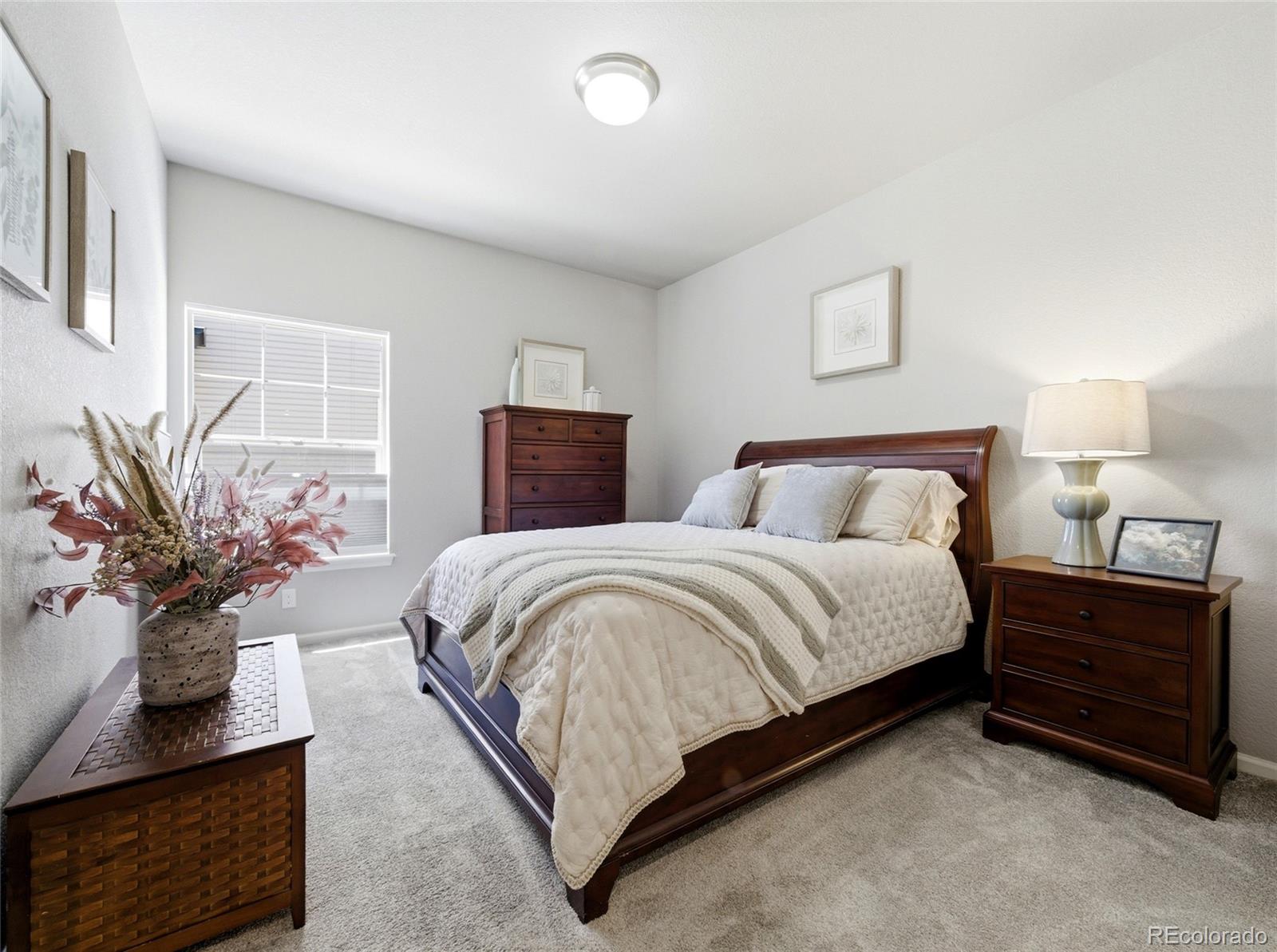 MLS Image #17 for 4976  malaya street,denver, Colorado