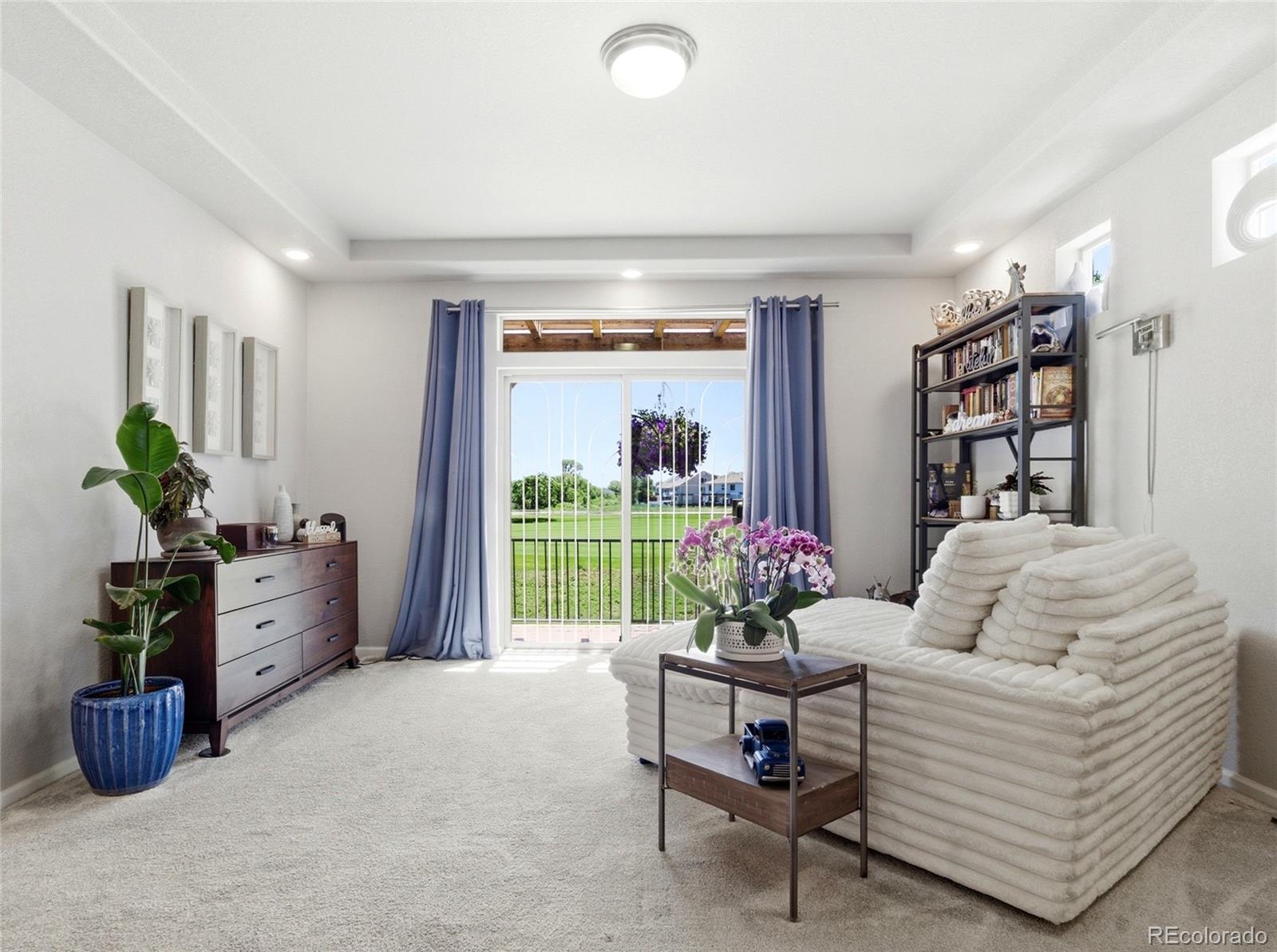 MLS Image #18 for 4976  malaya street,denver, Colorado