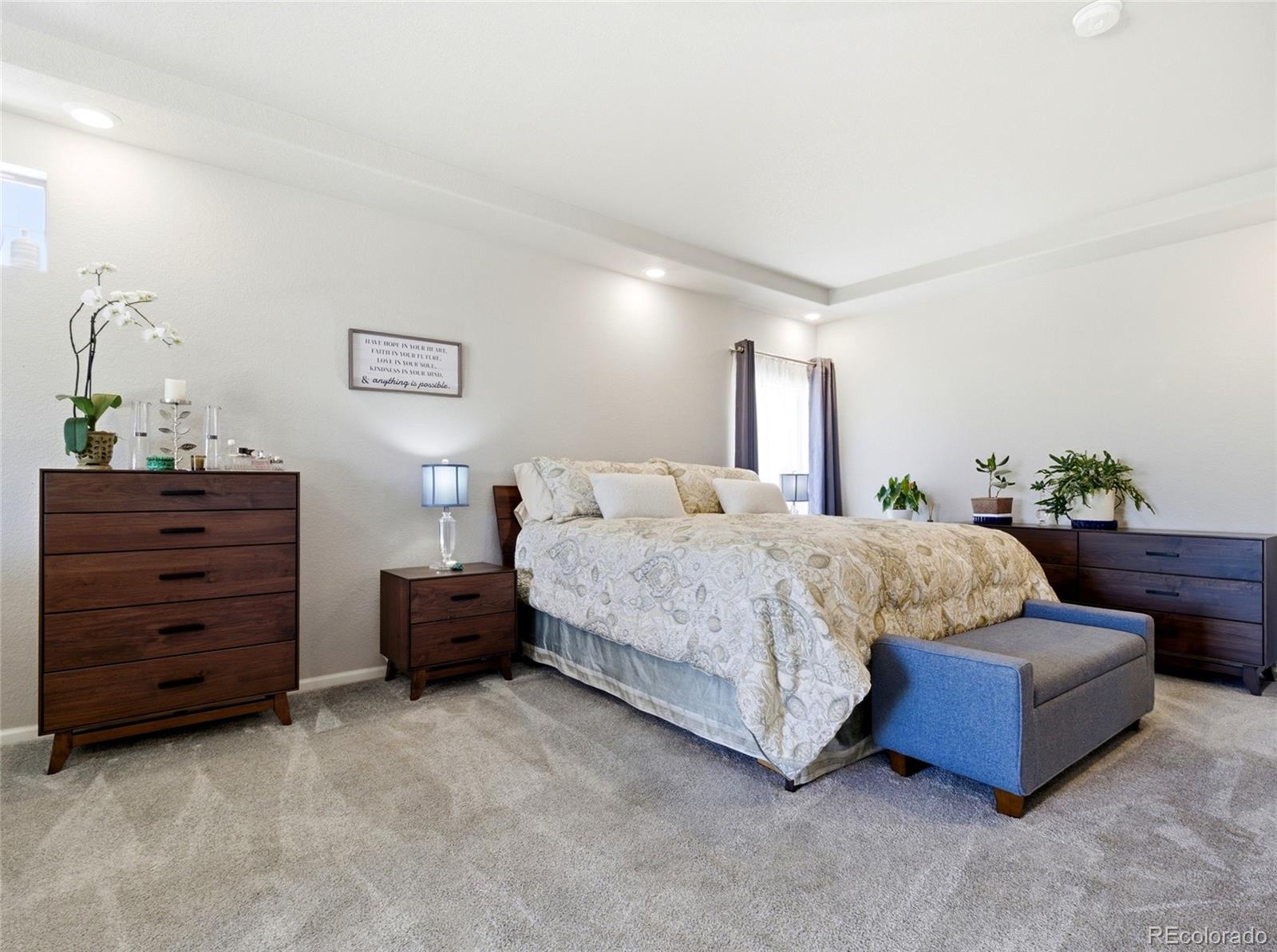 MLS Image #19 for 4976  malaya street,denver, Colorado
