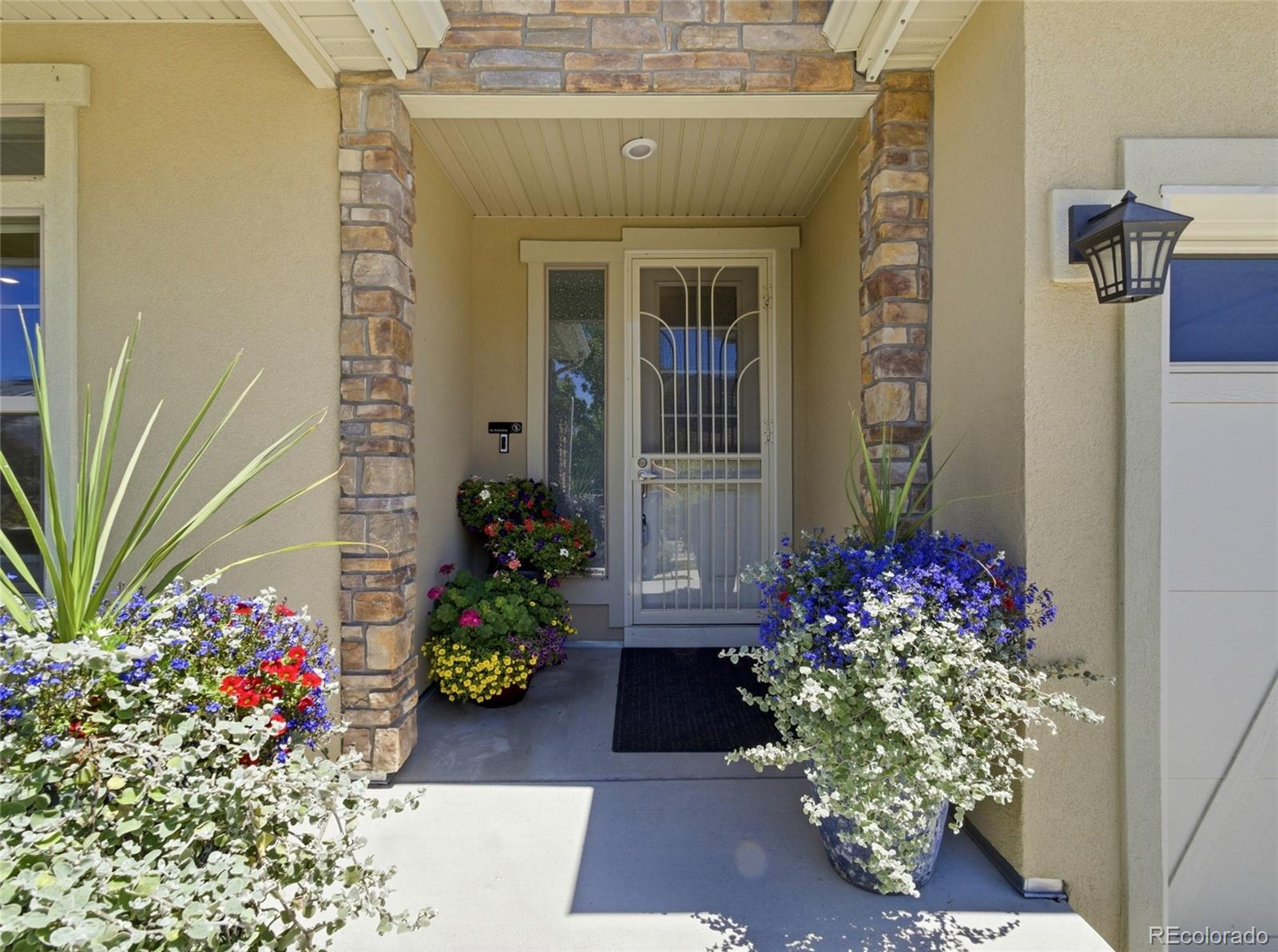 MLS Image #2 for 4976  malaya street,denver, Colorado