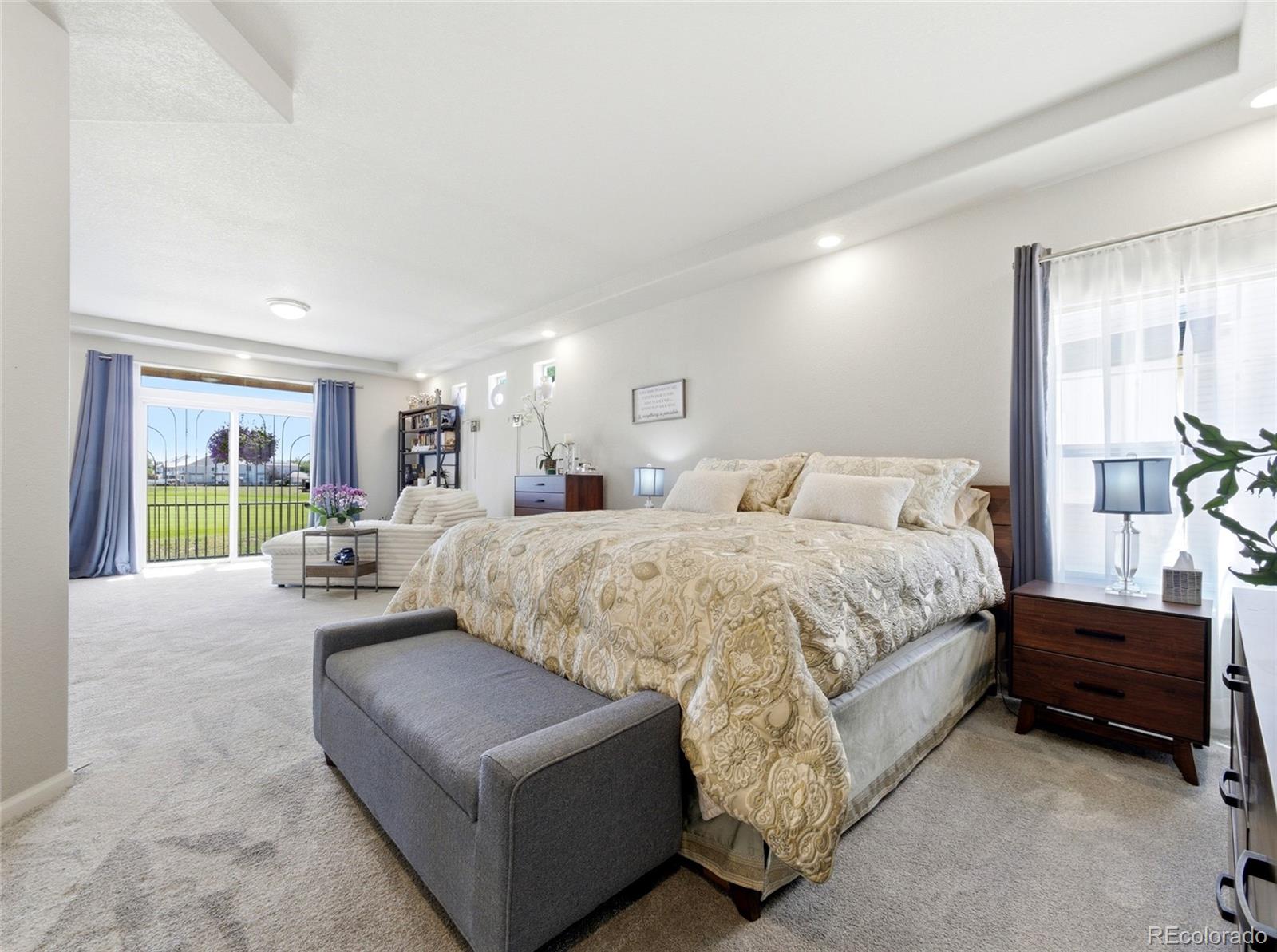 MLS Image #20 for 4976  malaya street,denver, Colorado