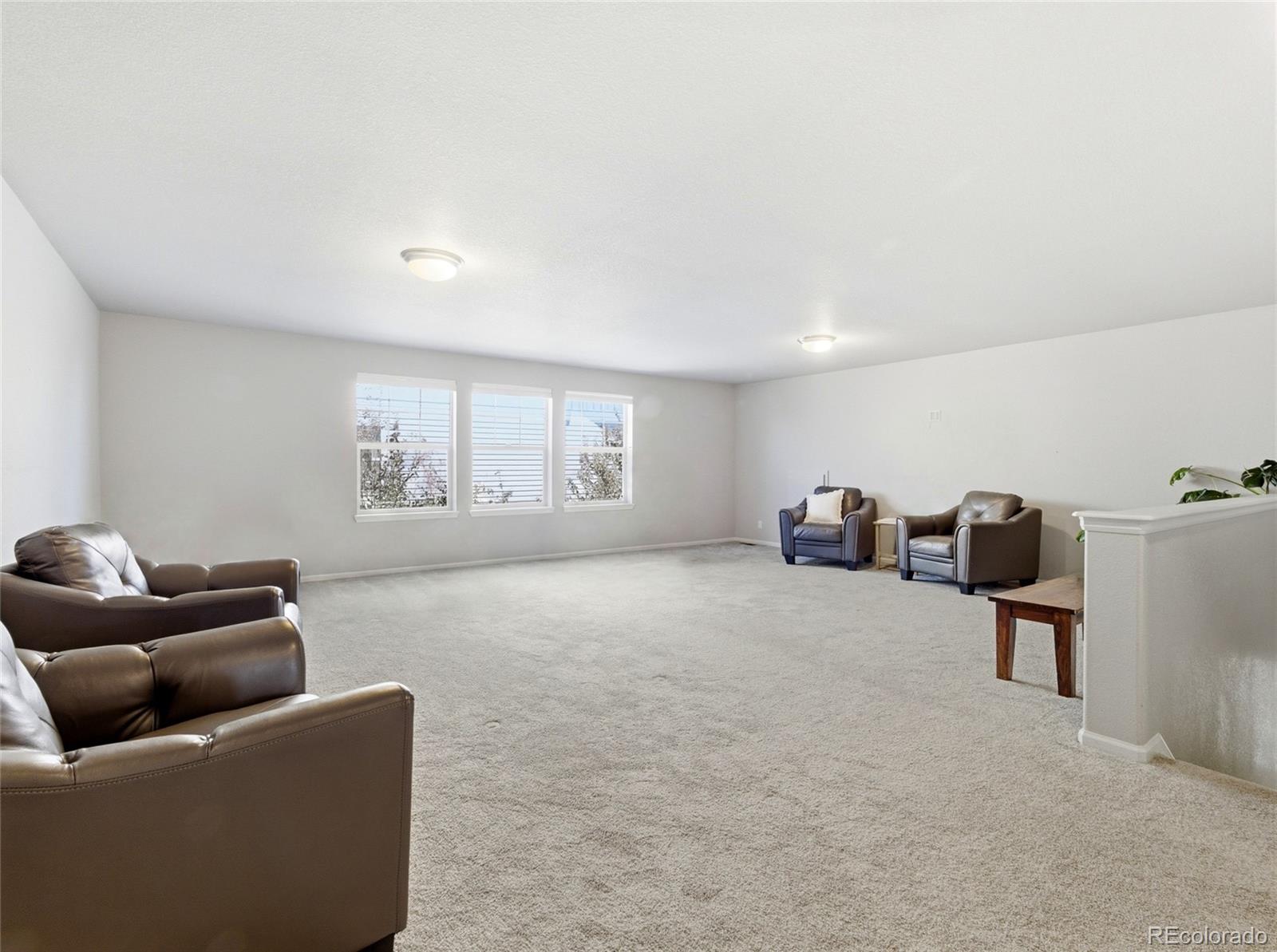MLS Image #24 for 4976  malaya street,denver, Colorado