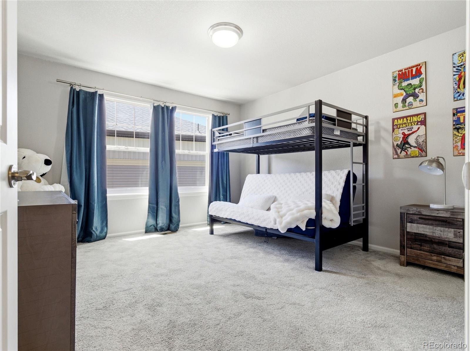 MLS Image #27 for 4976  malaya street,denver, Colorado