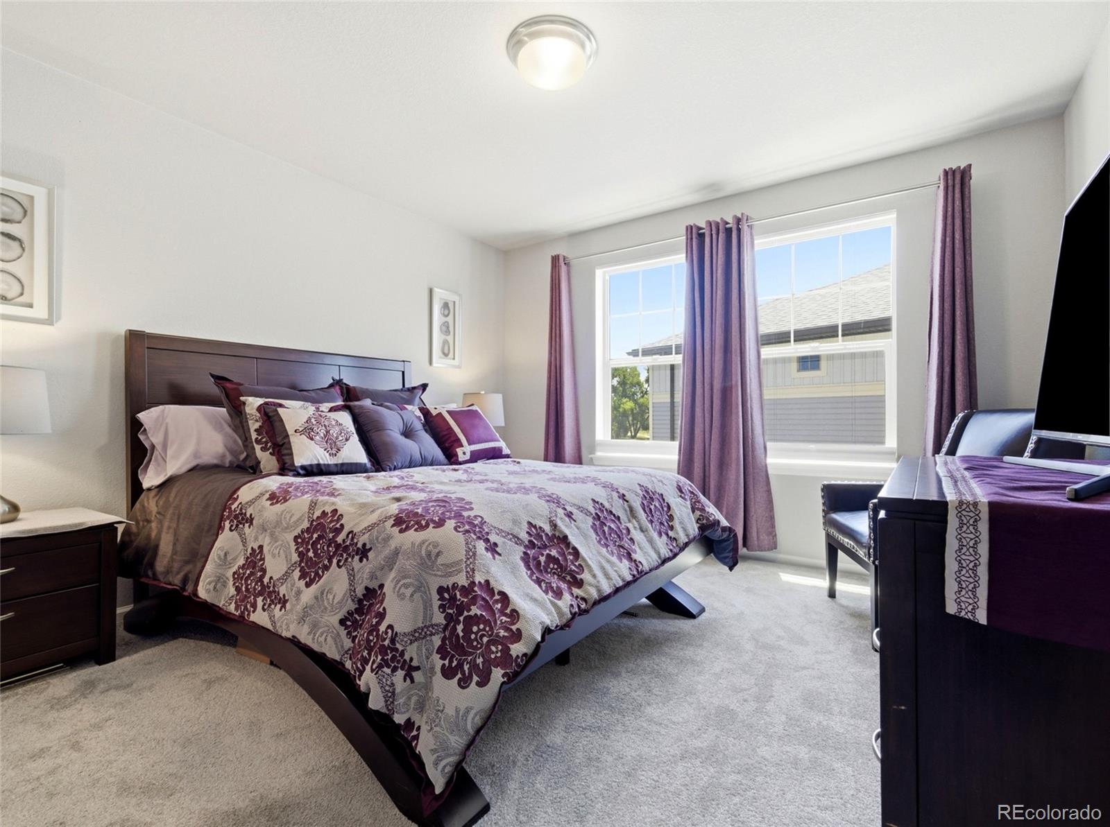 MLS Image #28 for 4976  malaya street,denver, Colorado