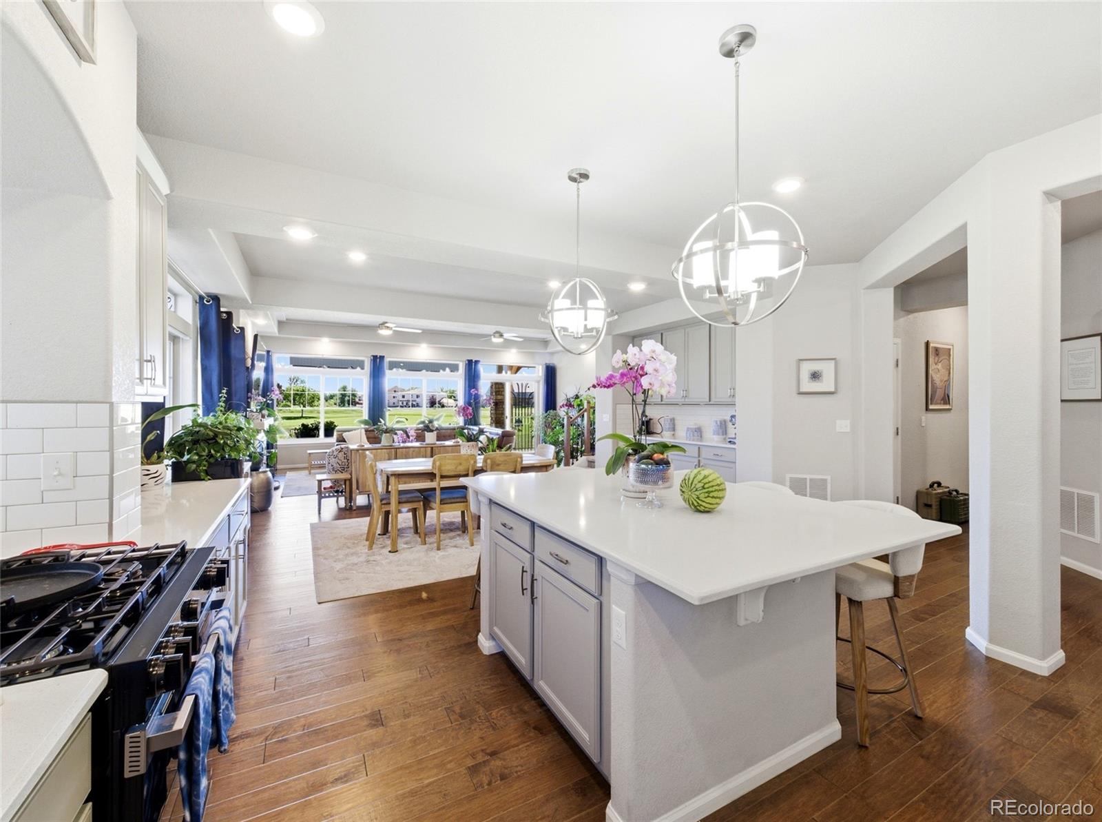 MLS Image #7 for 4976  malaya street,denver, Colorado