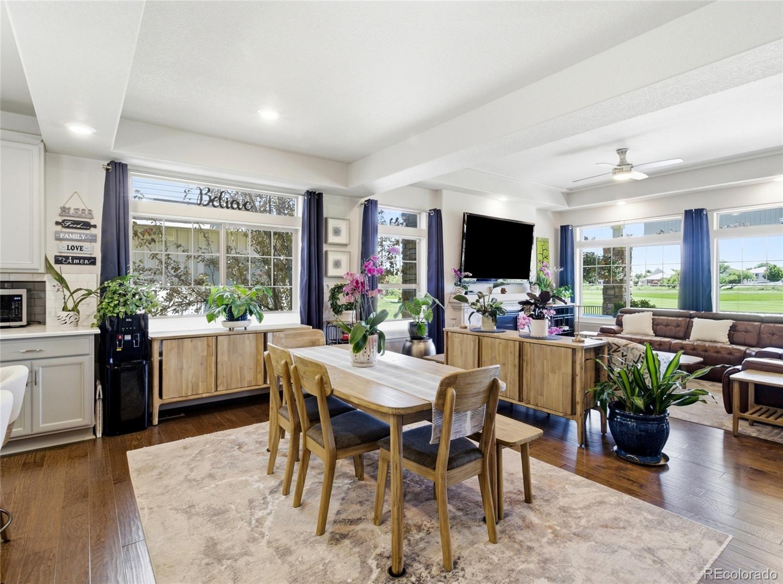 MLS Image #9 for 4976  malaya street,denver, Colorado