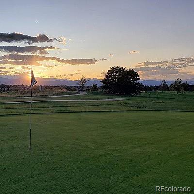 MLS Image #8 for 7161 s vine circle ,littleton, Colorado