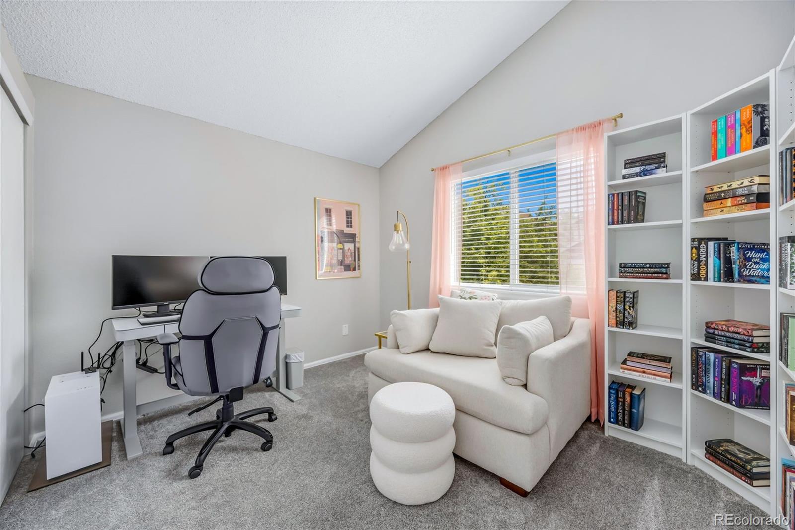 MLS Image #20 for 17016  lamar drive,parker, Colorado