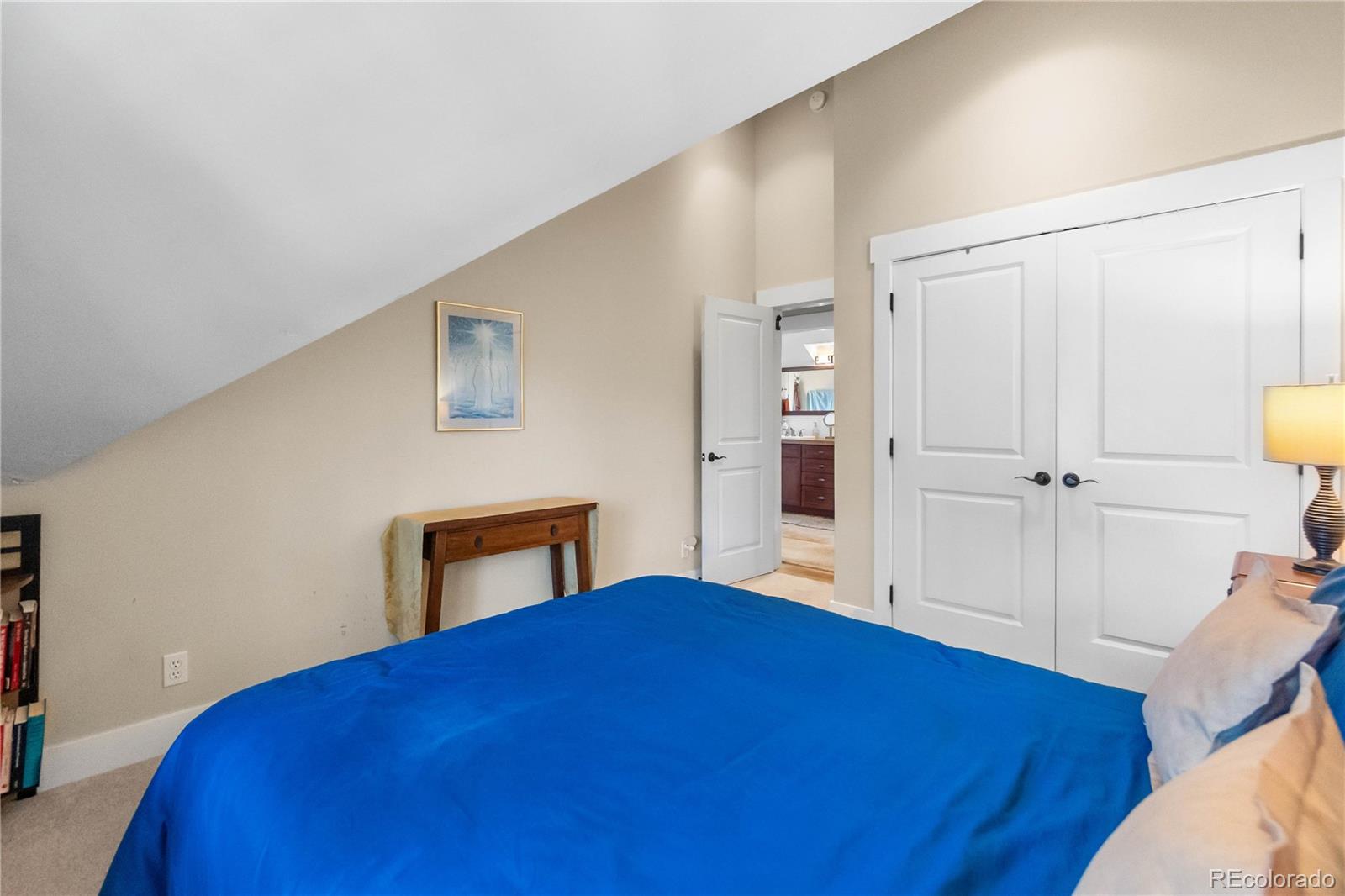 MLS Image #36 for 1910 s corona street,denver, Colorado