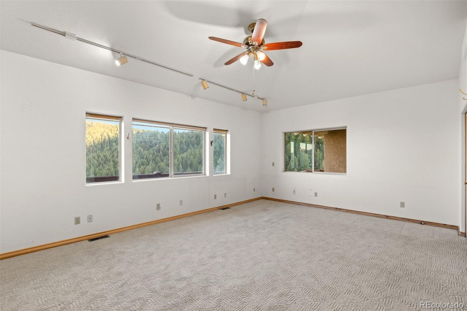MLS Image #18 for 12868  cottonwood road,littleton, Colorado