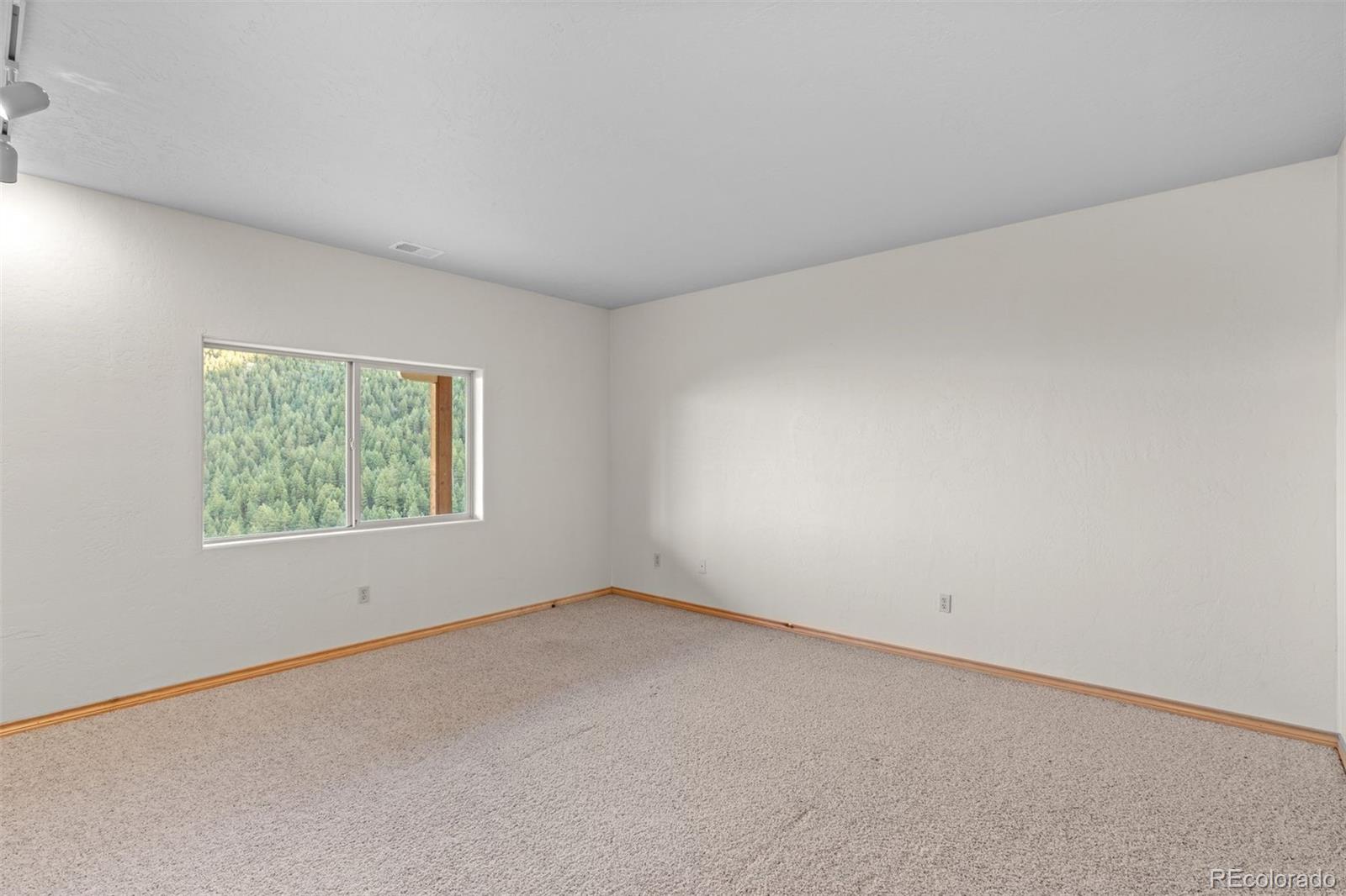 MLS Image #23 for 12868  cottonwood road,littleton, Colorado