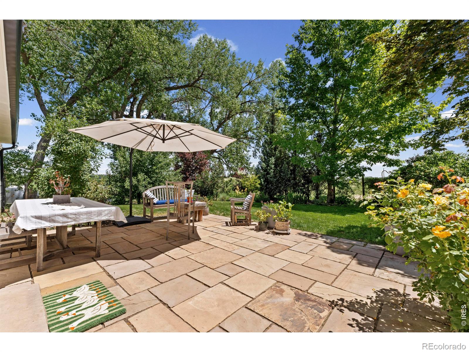 MLS Image #23 for 11278 n 66th street,longmont, Colorado