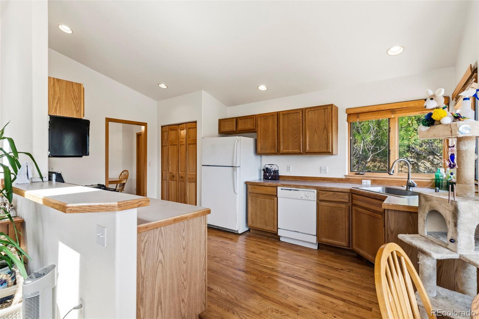 MLS Image #18 for 1649  elk valley drive,evergreen, Colorado