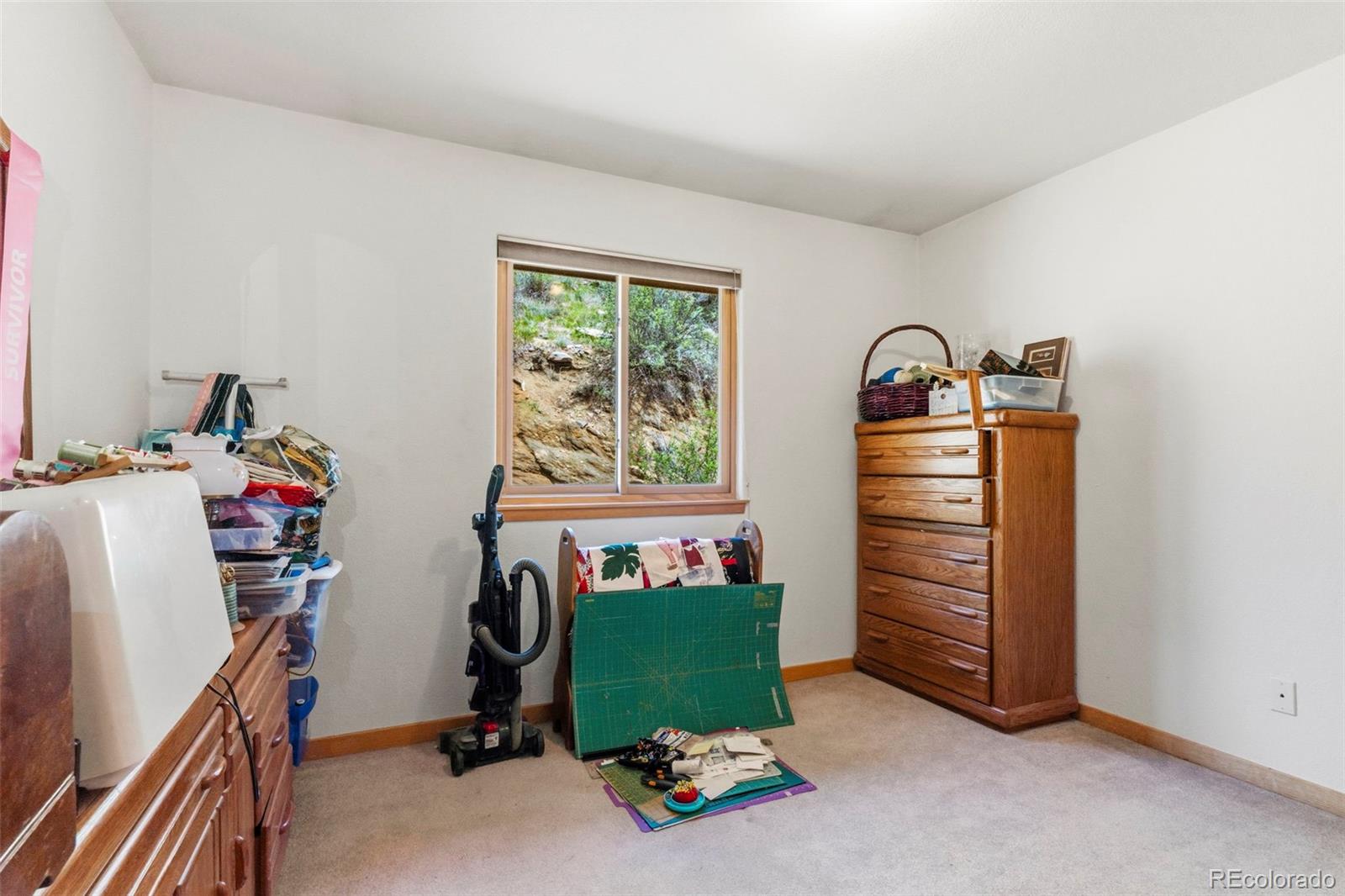 MLS Image #40 for 1649  elk valley drive,evergreen, Colorado