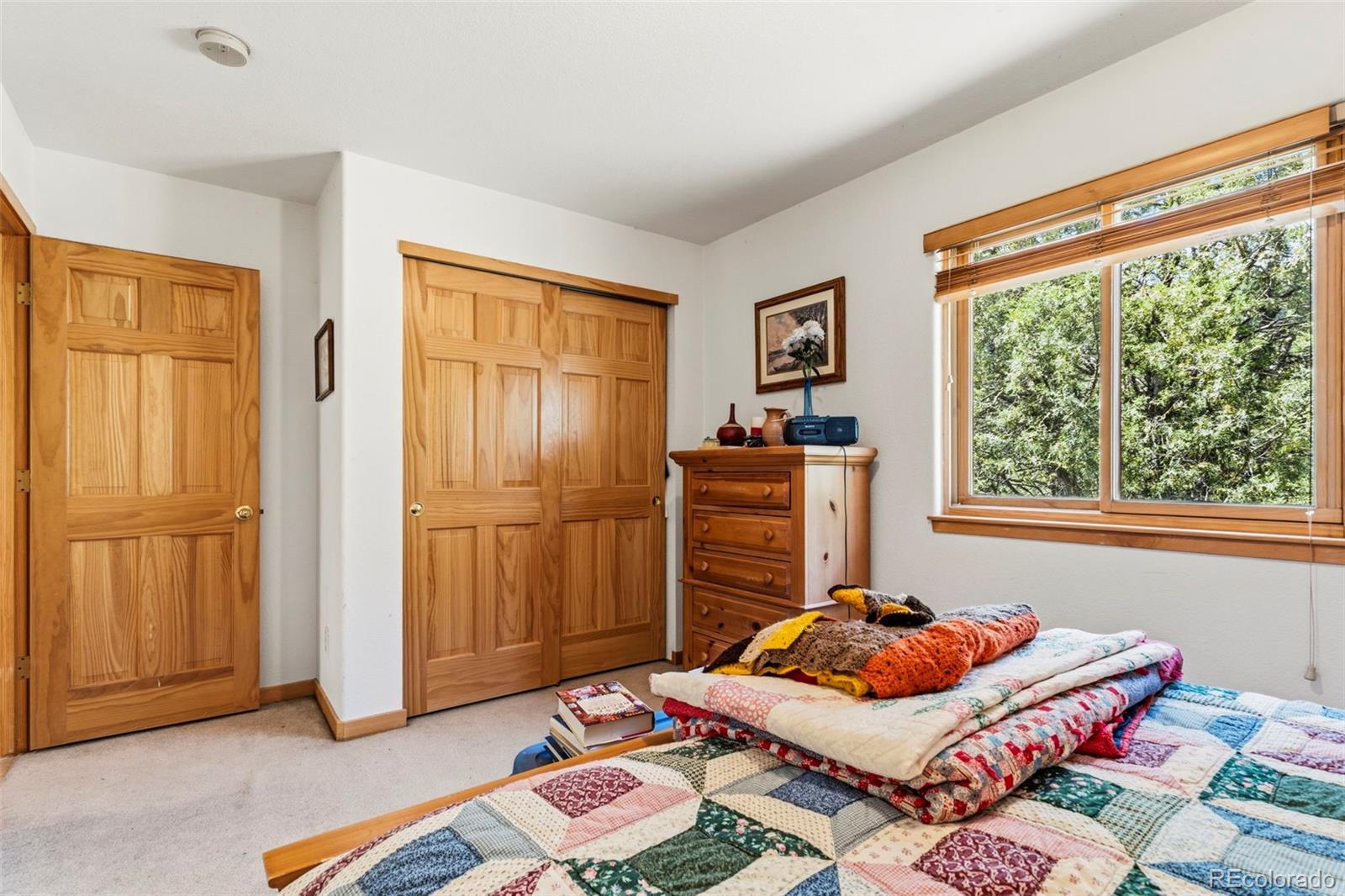 MLS Image #43 for 1649  elk valley drive,evergreen, Colorado