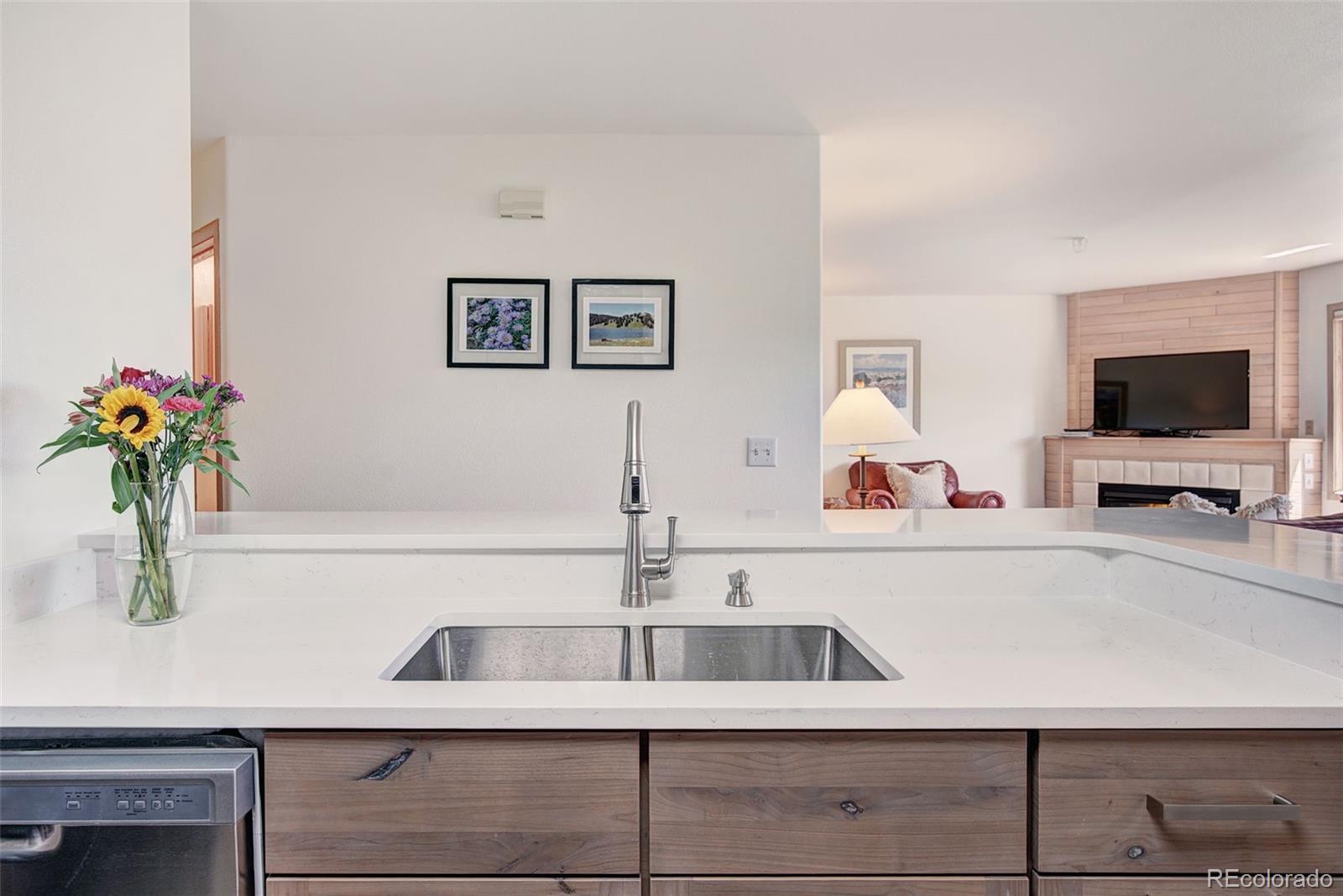 MLS Image #11 for 95600  ryan gulch road,silverthorne, Colorado