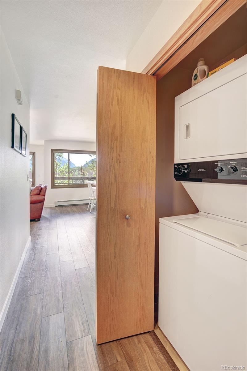 MLS Image #18 for 95600  ryan gulch road,silverthorne, Colorado