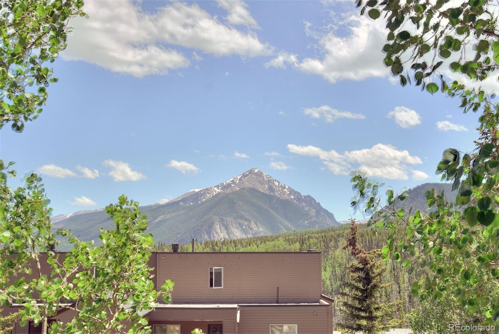 MLS Image #19 for 95600  ryan gulch road,silverthorne, Colorado