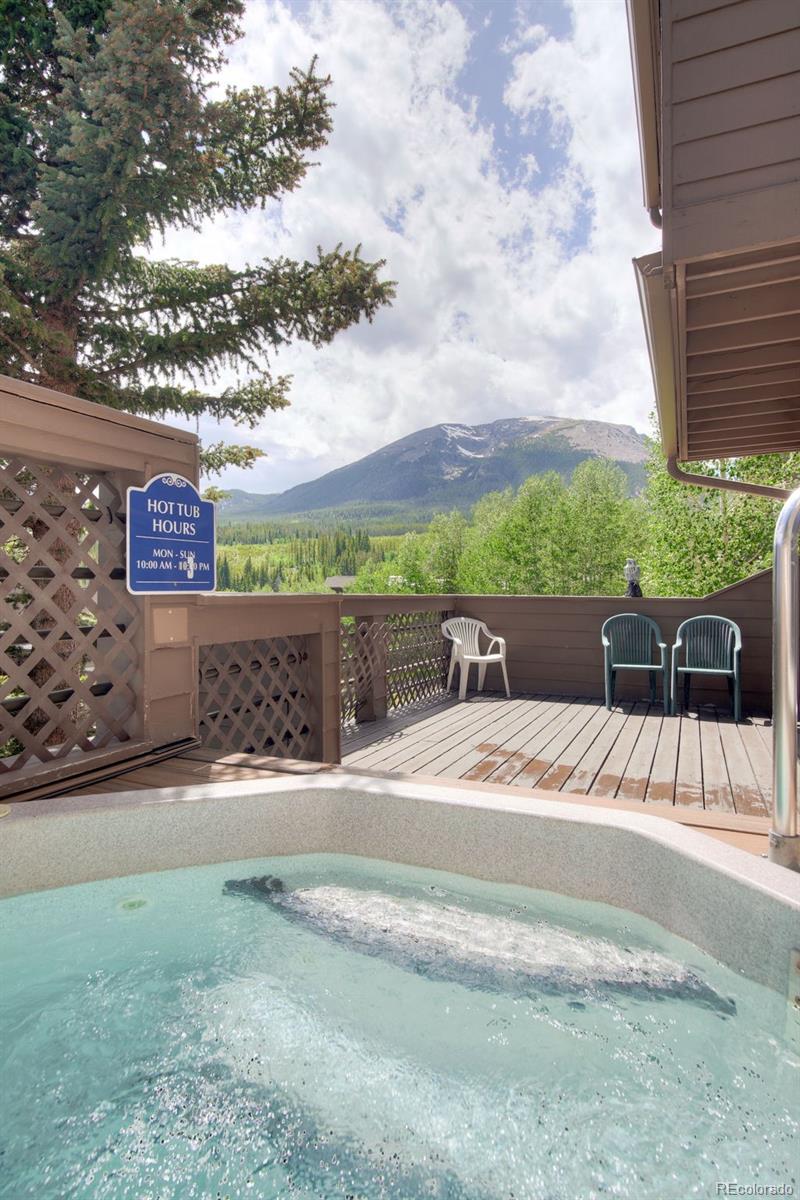 MLS Image #28 for 95600  ryan gulch road,silverthorne, Colorado