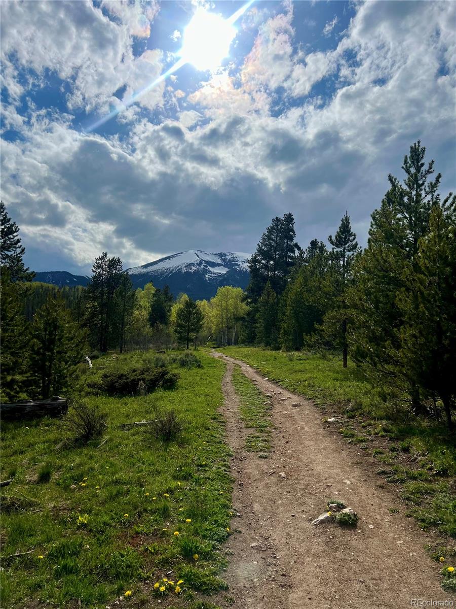 MLS Image #32 for 95600  ryan gulch road,silverthorne, Colorado