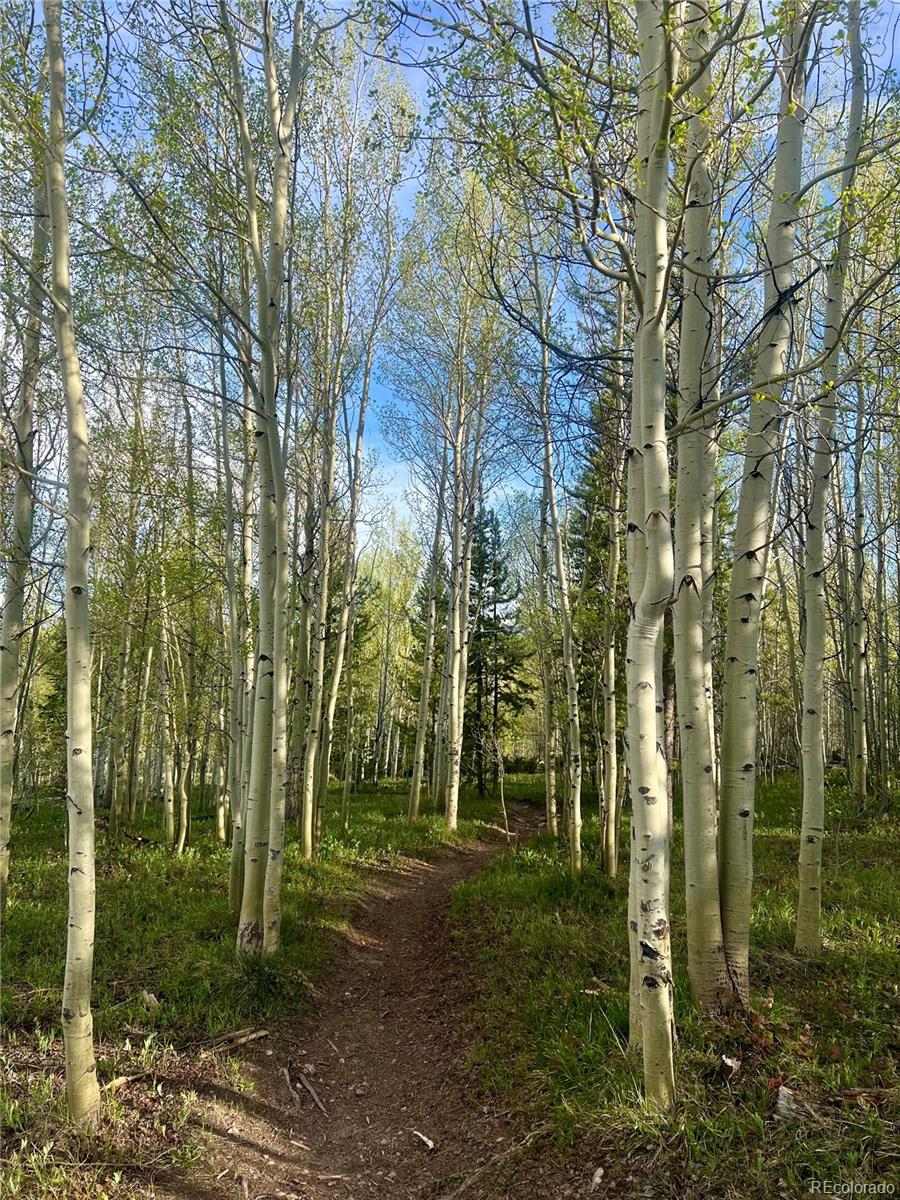 MLS Image #33 for 95600  ryan gulch road,silverthorne, Colorado
